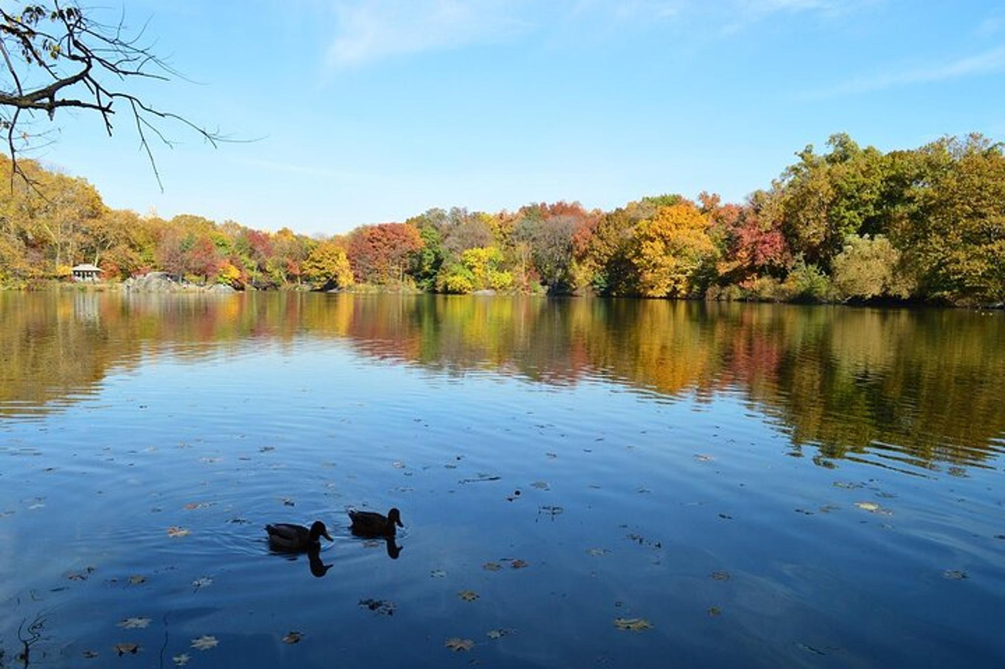 New York City Central Park Walking Tour - Image 2