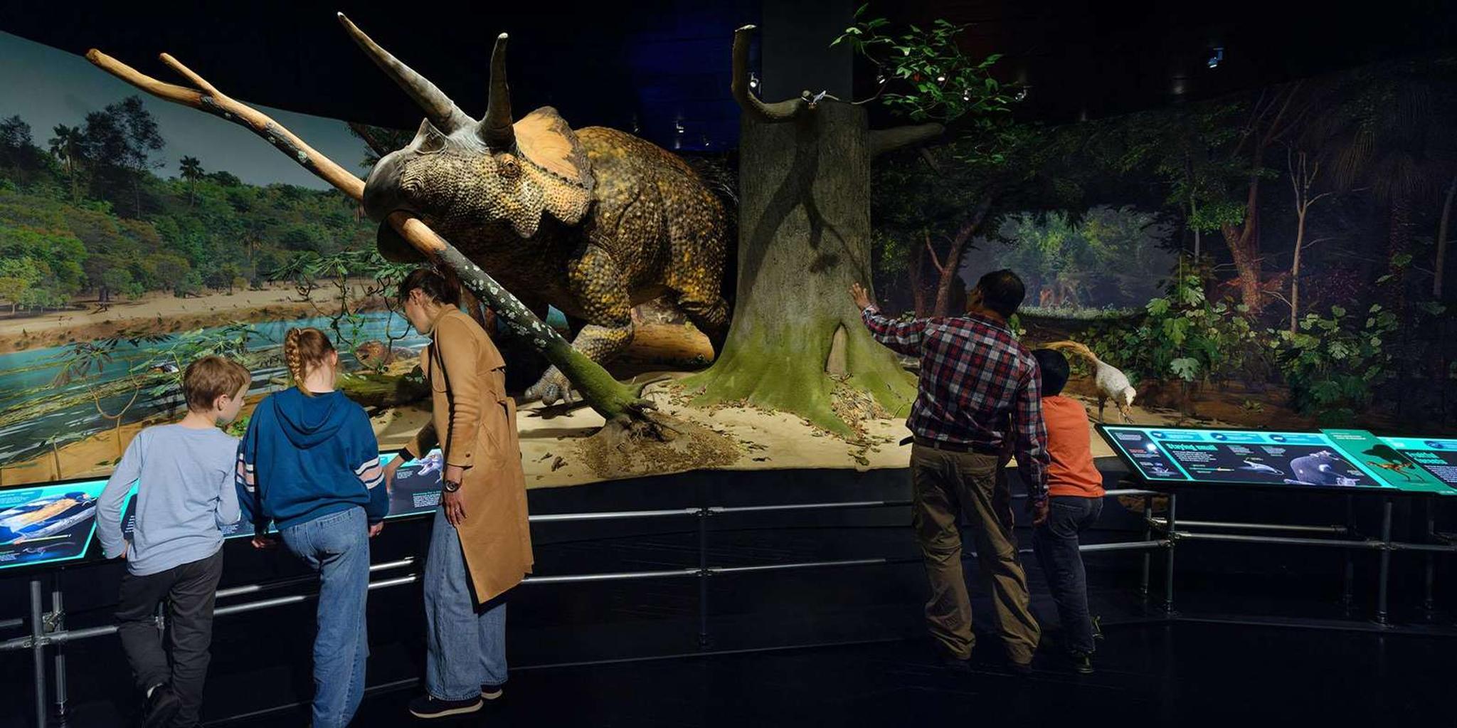 New York American Museum of Natural History Ticket - Image 2