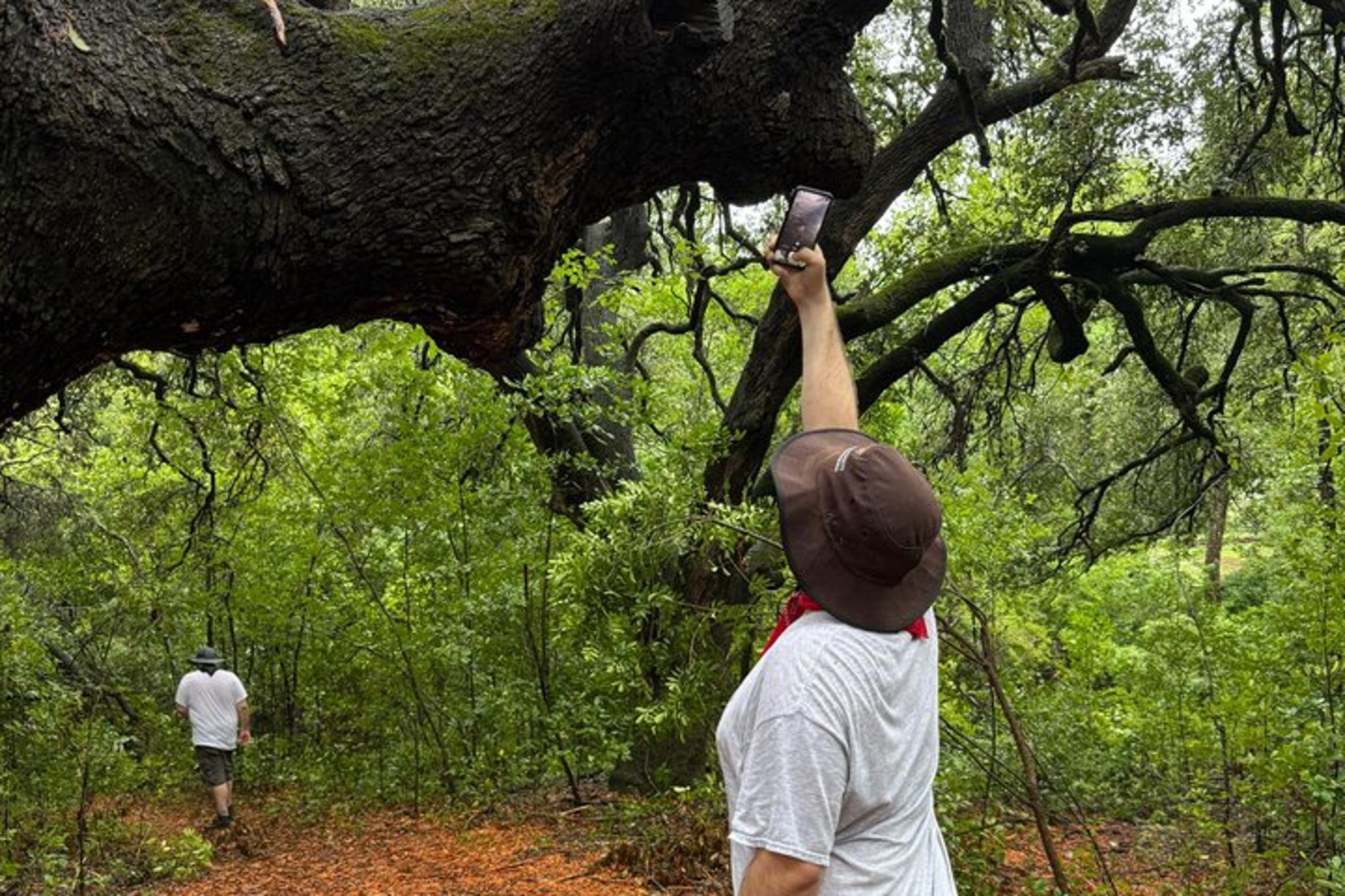 Austin Safari Hike - Image 3