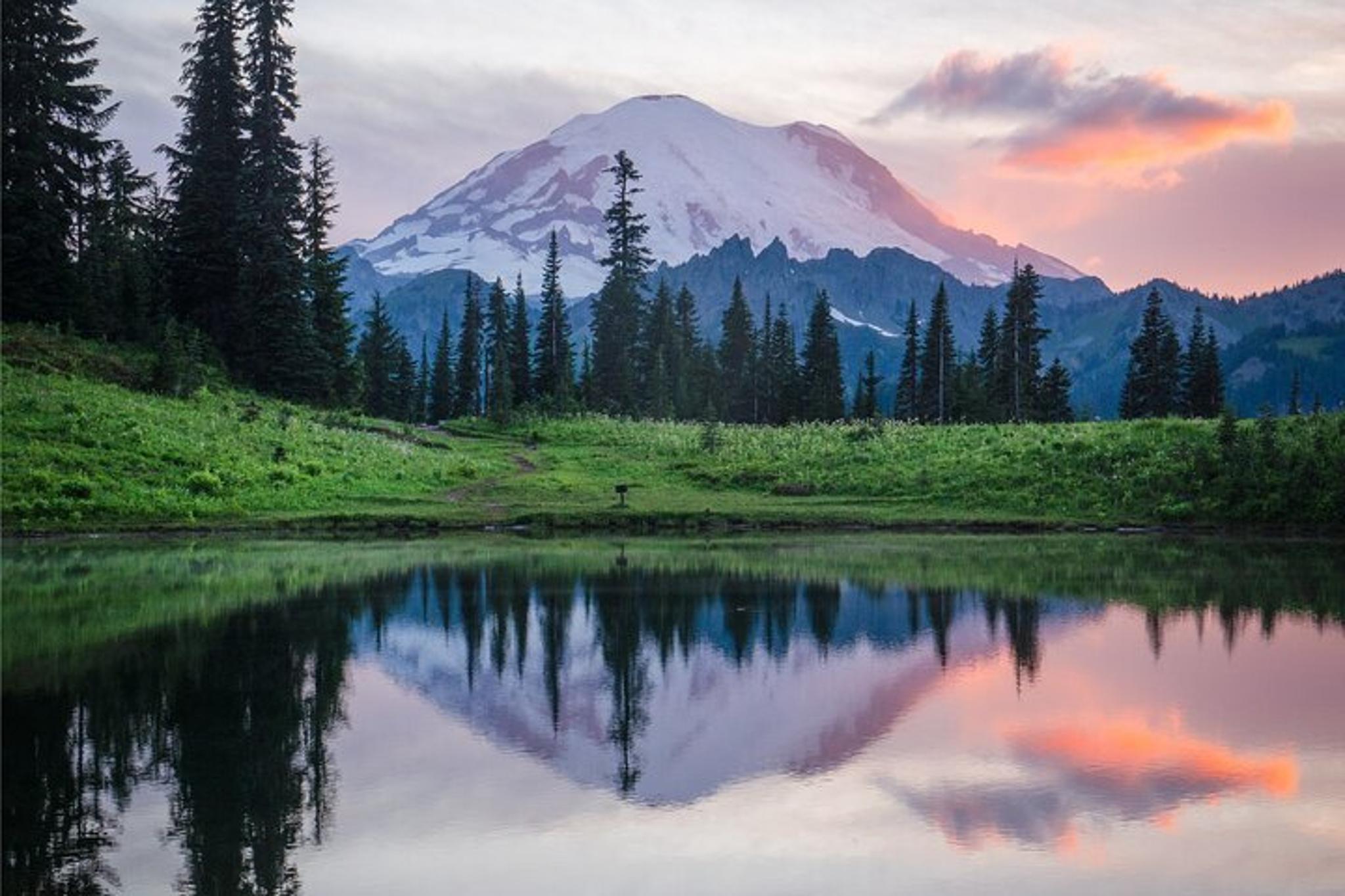 Seattle Mount Rainier Private Day Tour - Image 2