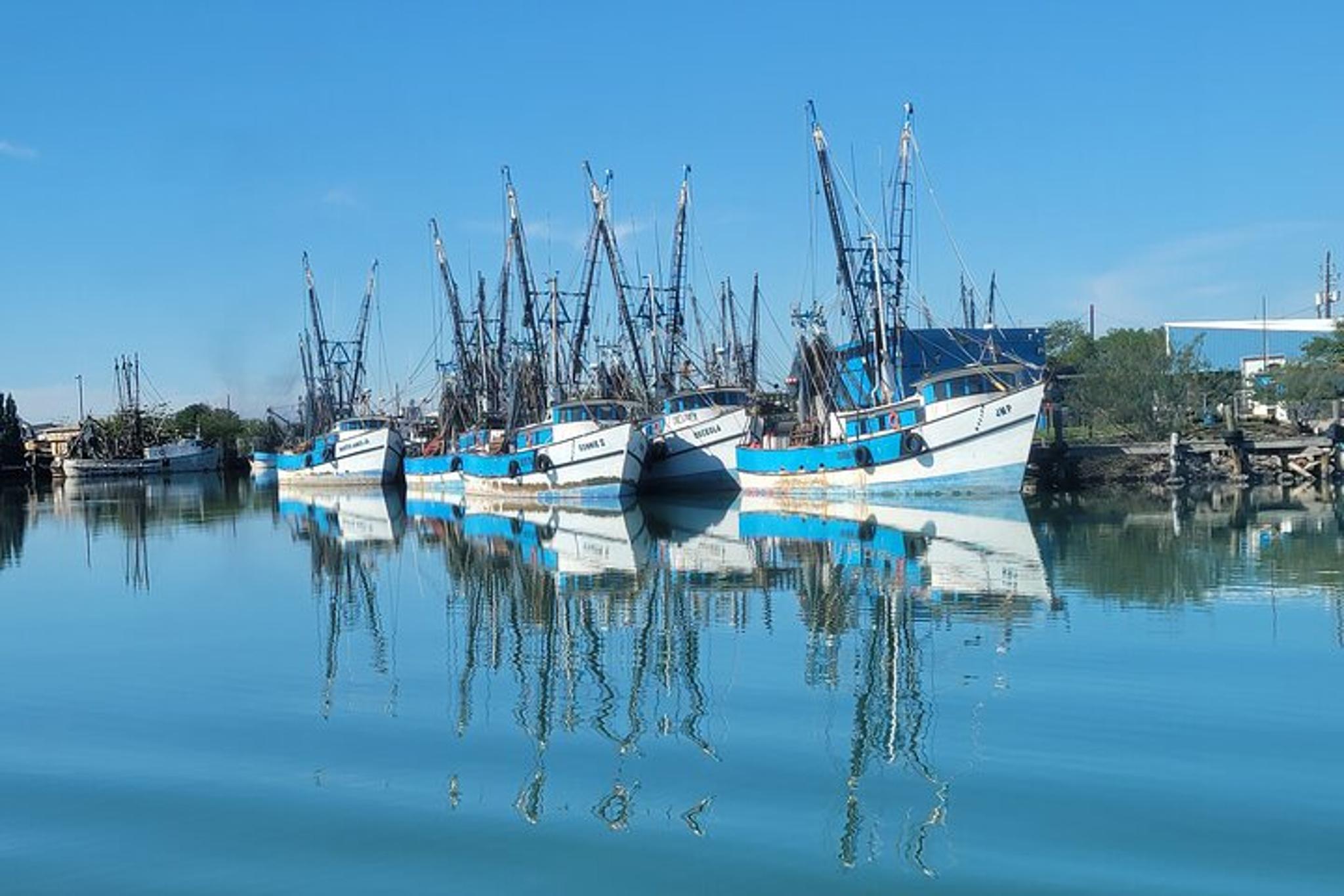 Brownsville Boat Tour - Image 6