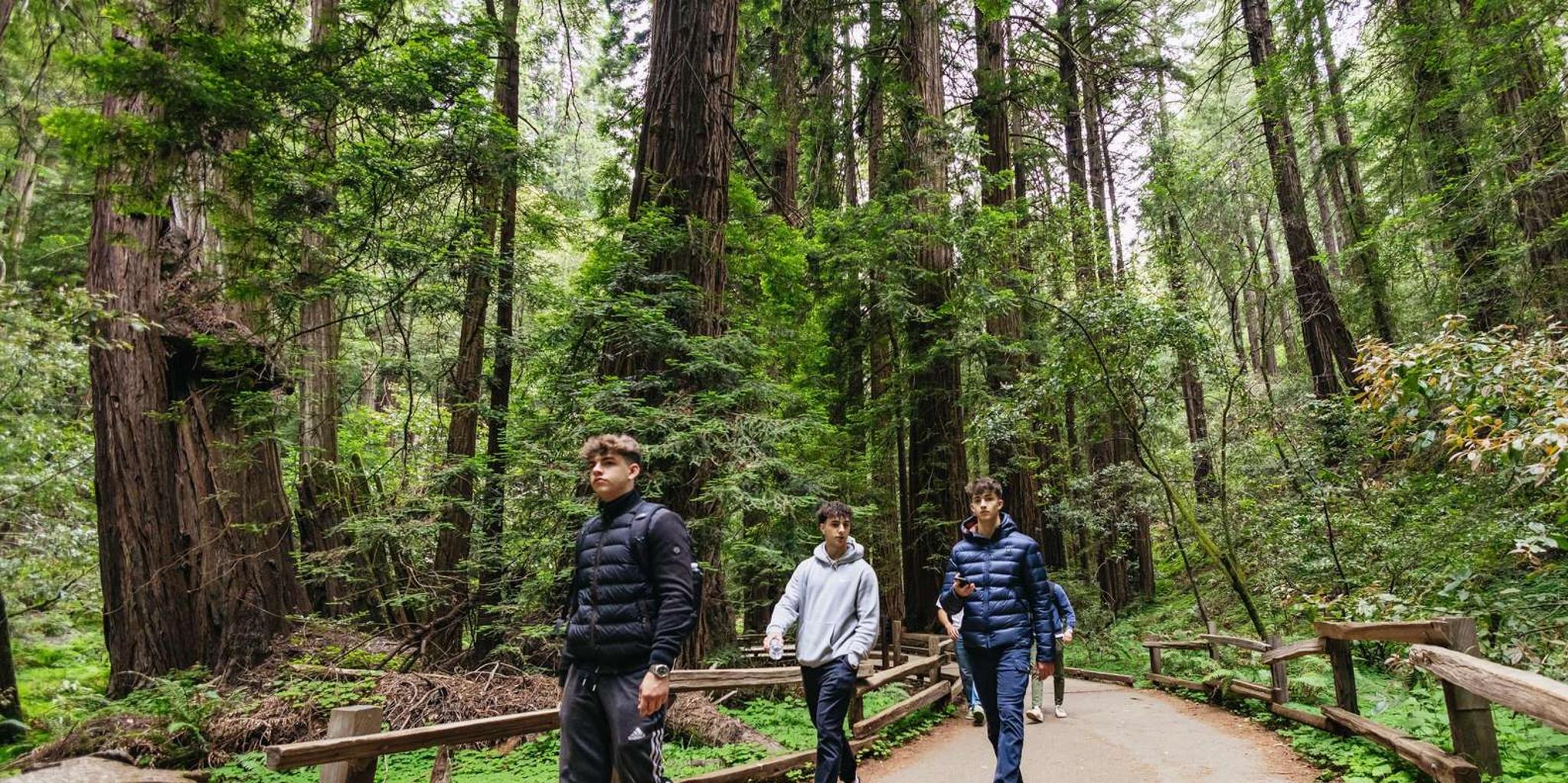 San Francisco Muir Woods and Sausalito Tour - Image 6