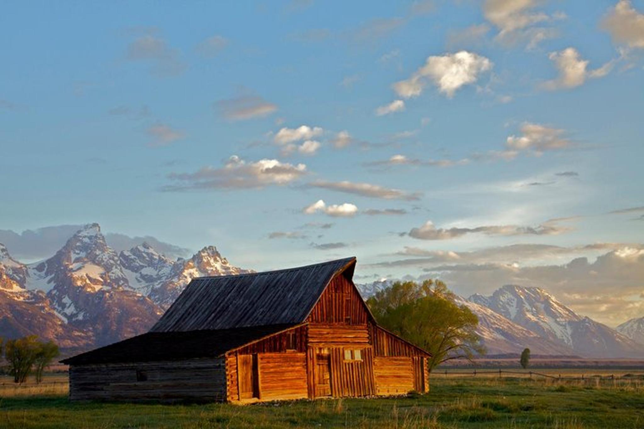Jackson Hole Sunrise Wildlife Safari - Image 1