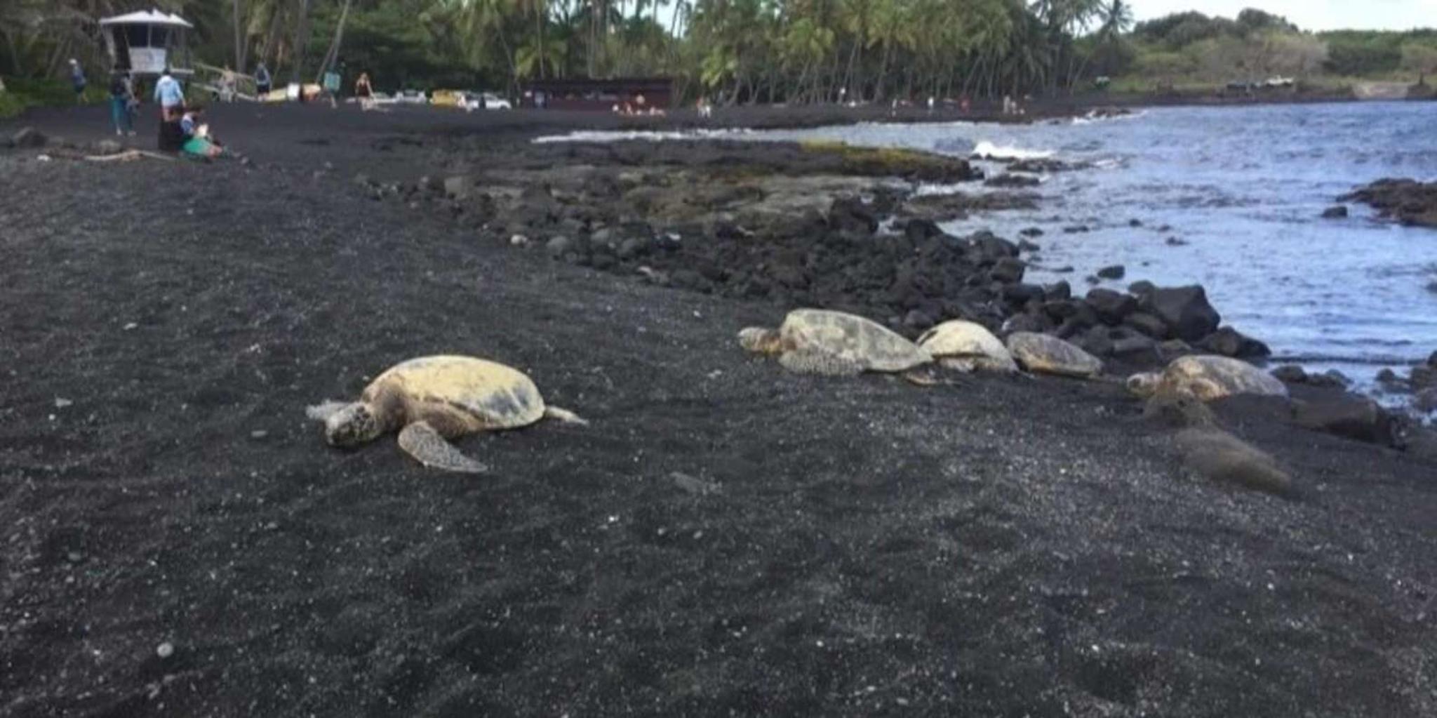 Kona Adventure Tour - Image 5