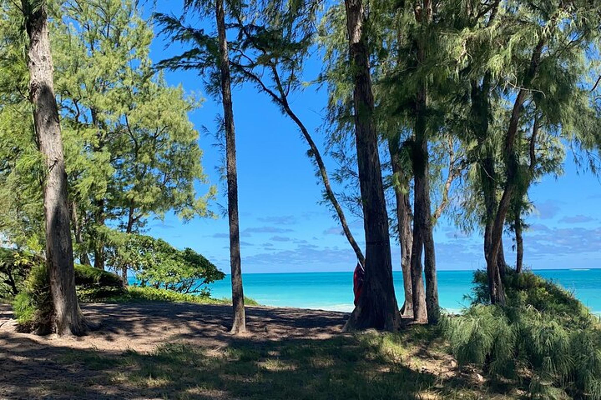 Oahu Private Circle Island Charter Tour - Image 2