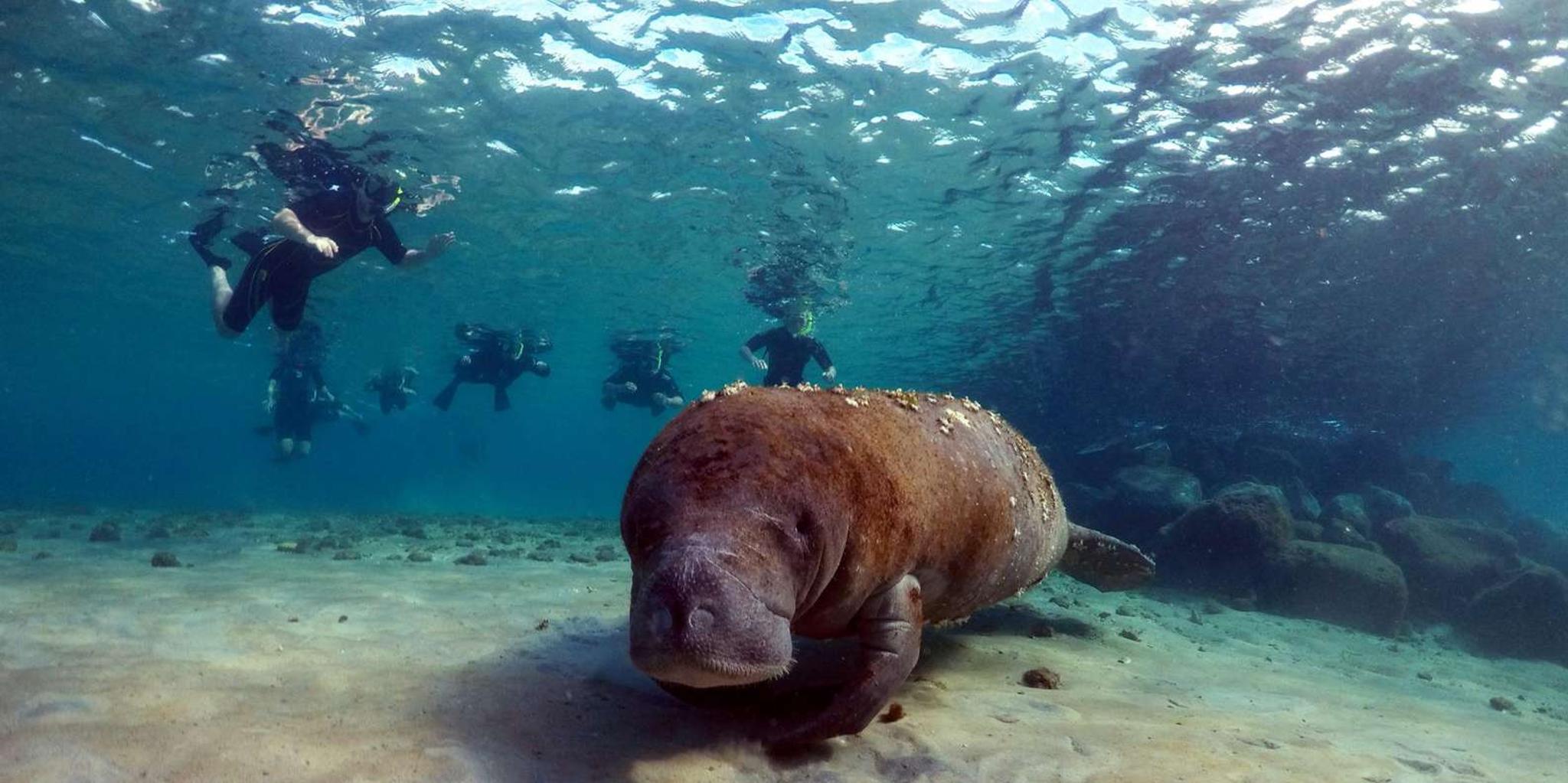 West Palm Beach Peanut Island Boat & Snorkel Tour - Image 5