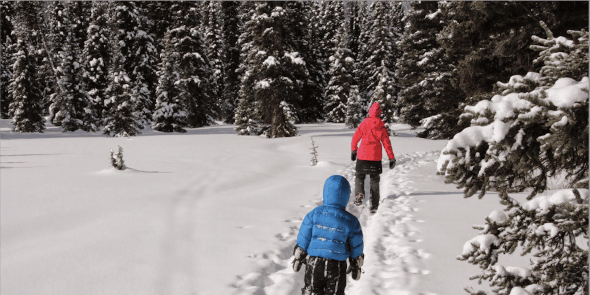 South Lake Tahoe Snowshoe Tour with Local Guide - Image 3