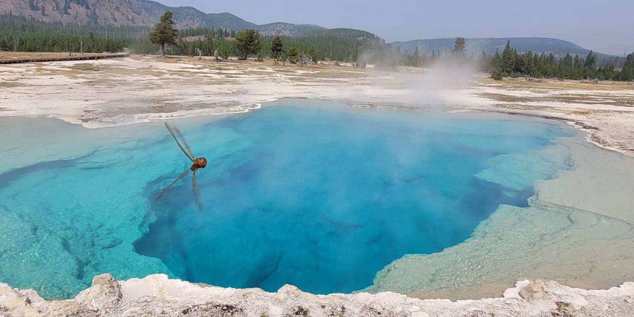 Cody Yellowstone National Park Full-Day Tour - Image 4