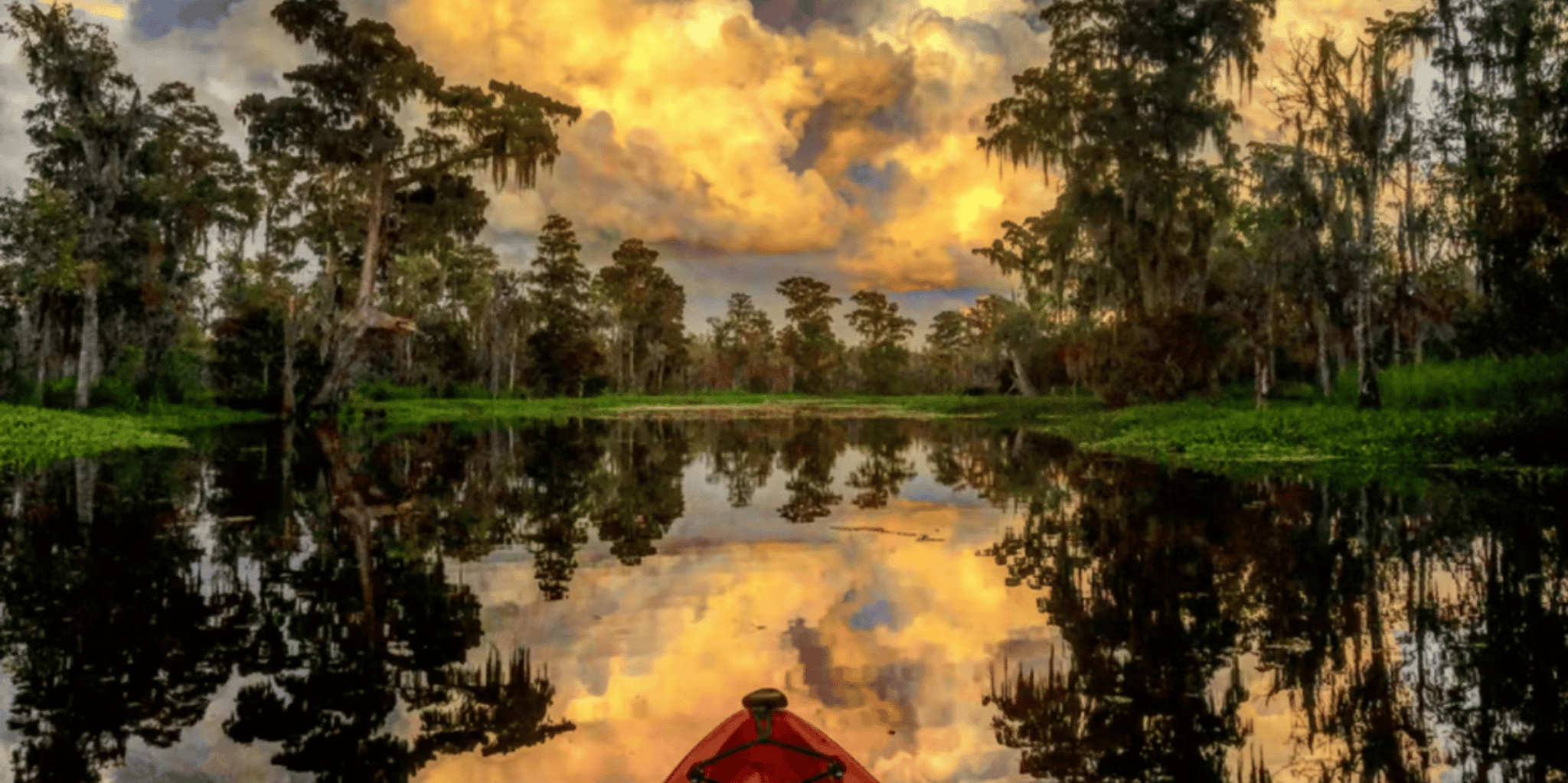 New Orleans Manchac Swamp Kayak Tour - Image 2