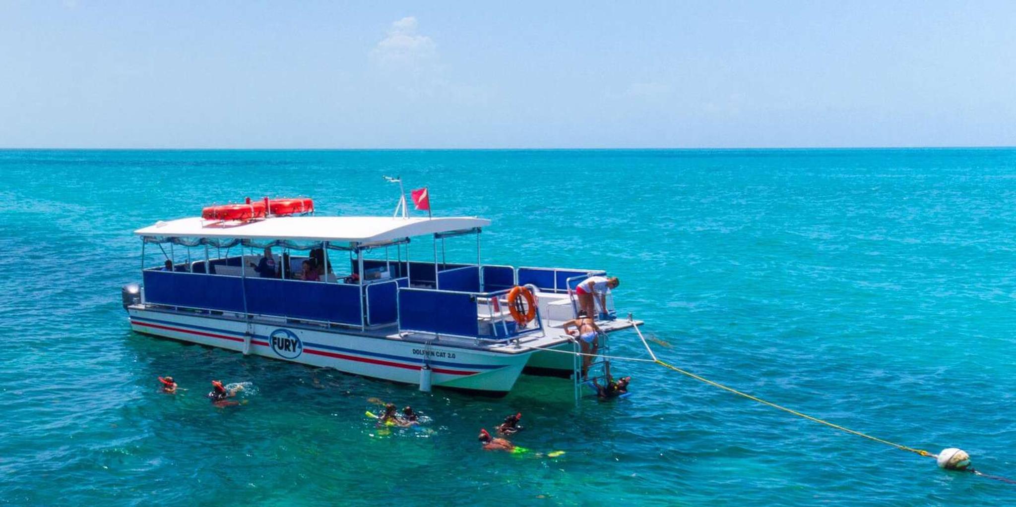 Key West Dolphin Watching and Snorkeling Eco Cruise - Image 4