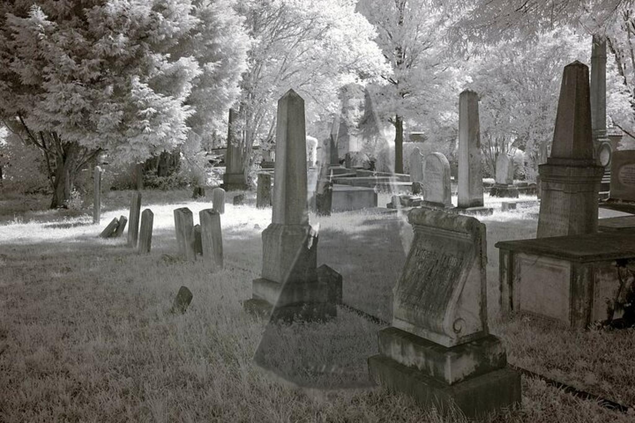 Denver Ghost Tour in Cheesman Park - Image 1