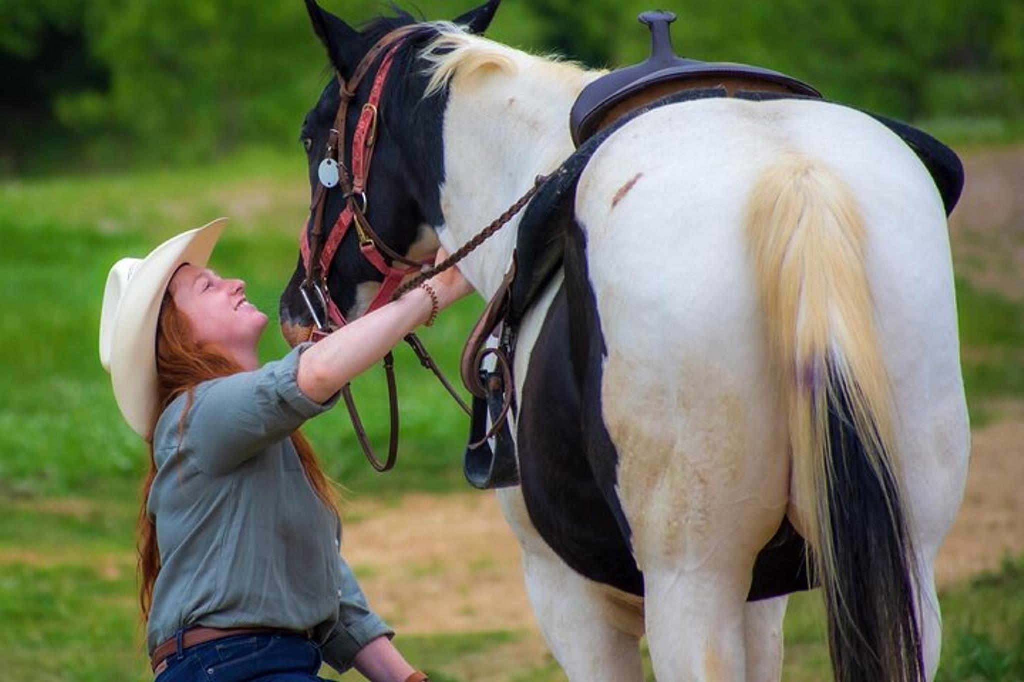Memphis Horseback Ride at Sunset - Image 4