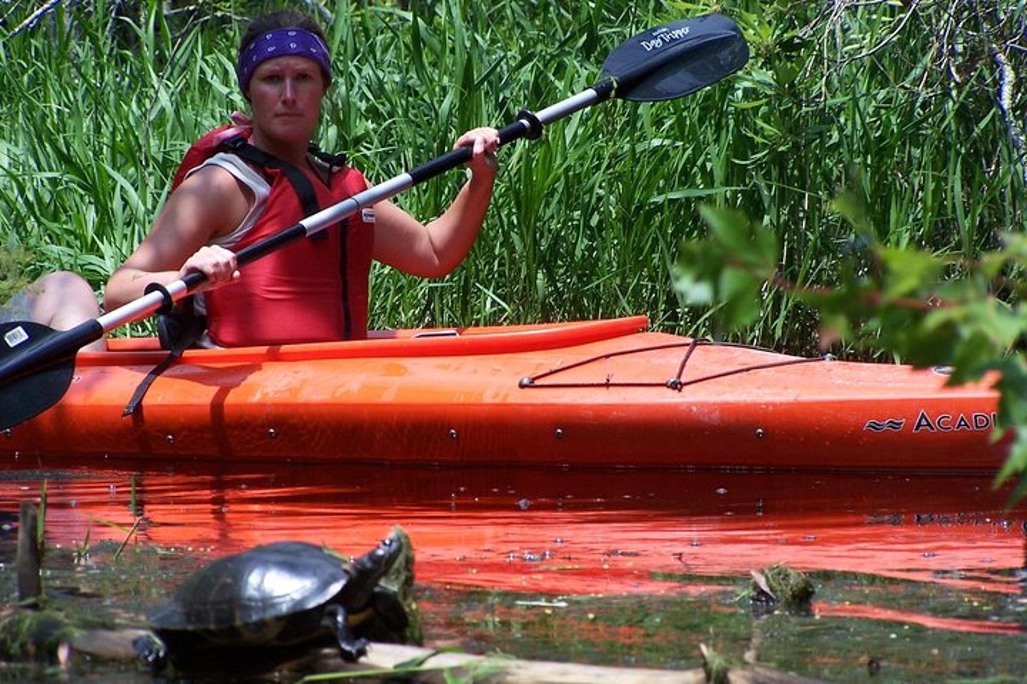 Alligator River Kayak Adventure - Image 5