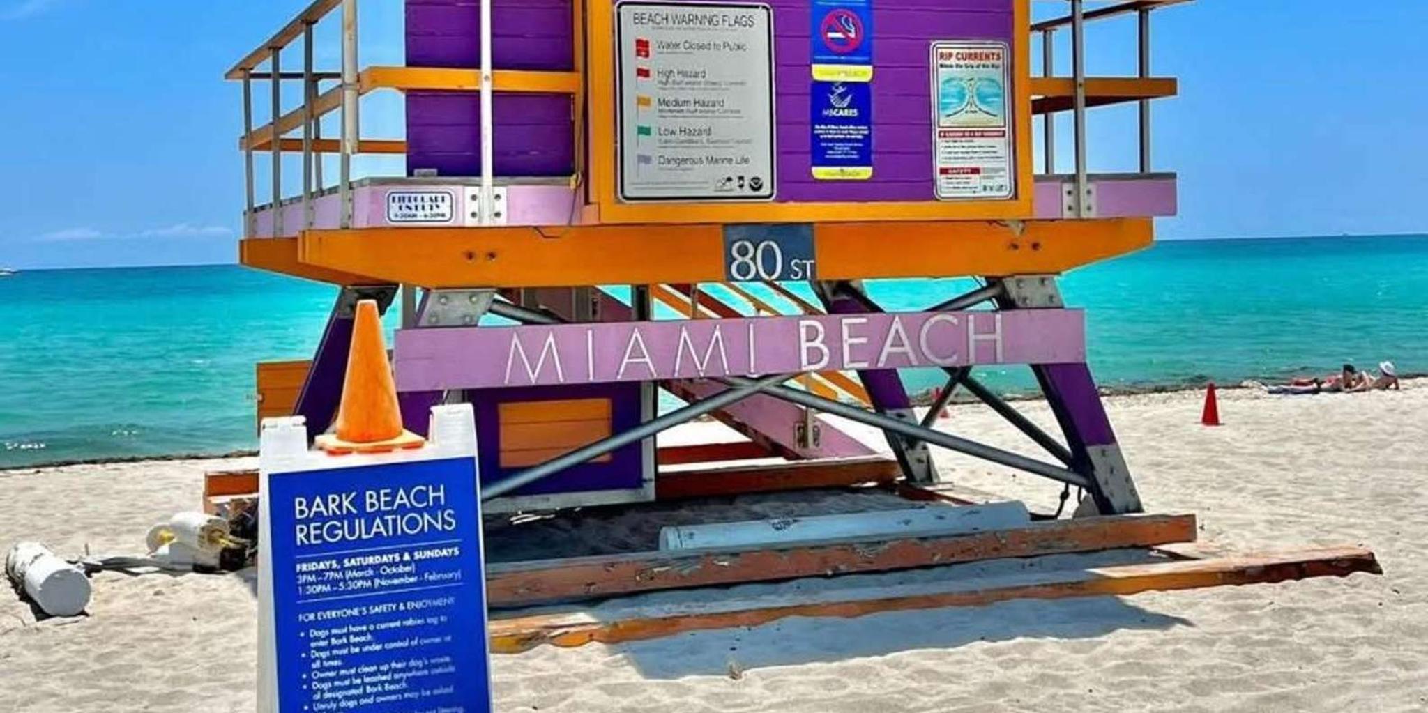 Miami Beach Art Deco Walking Tour in French 2 hr - Image 3