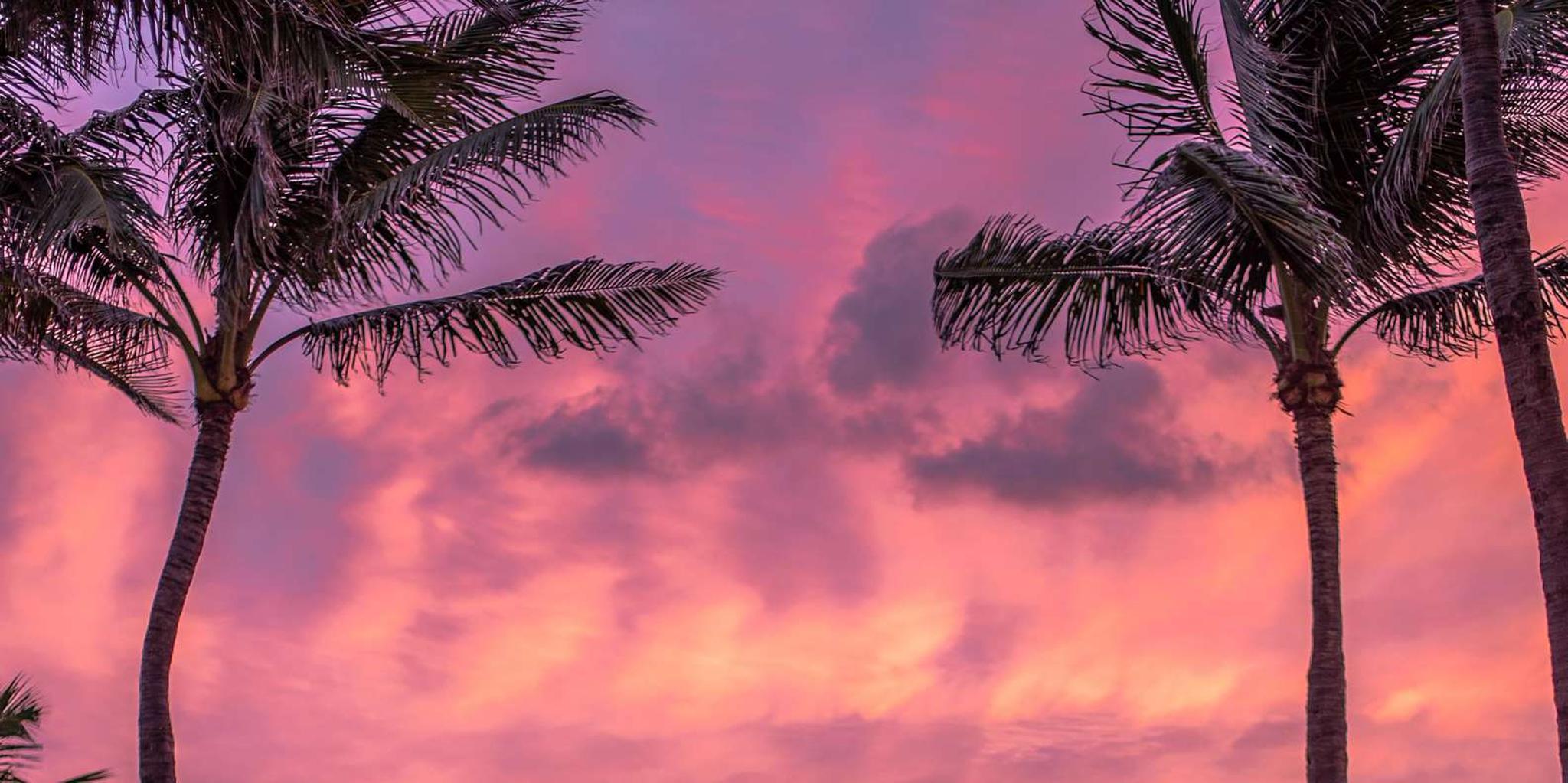 West Palm Beach Beach Day with Cabana - Image 3