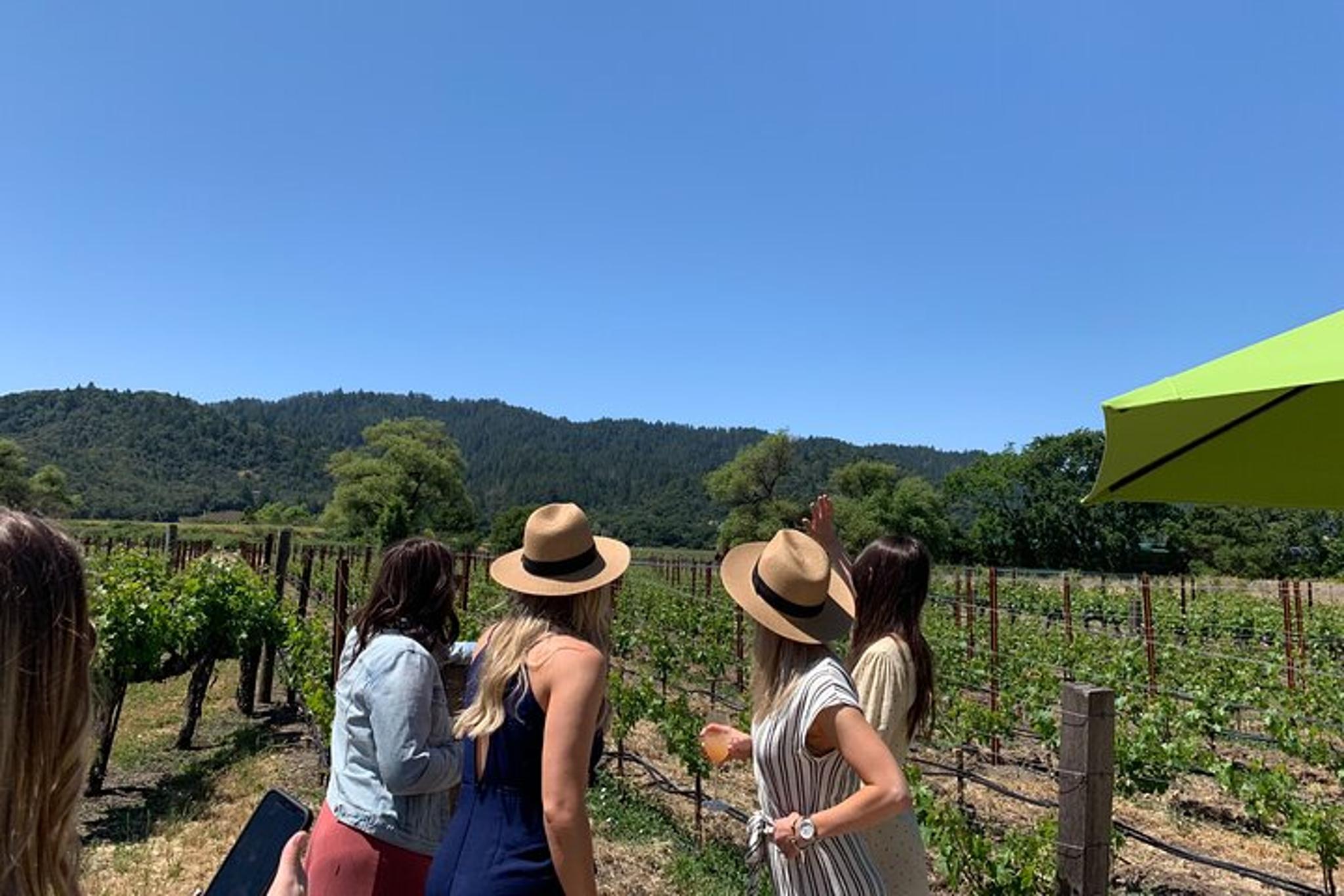 Napa Wine Tour SUV Experience