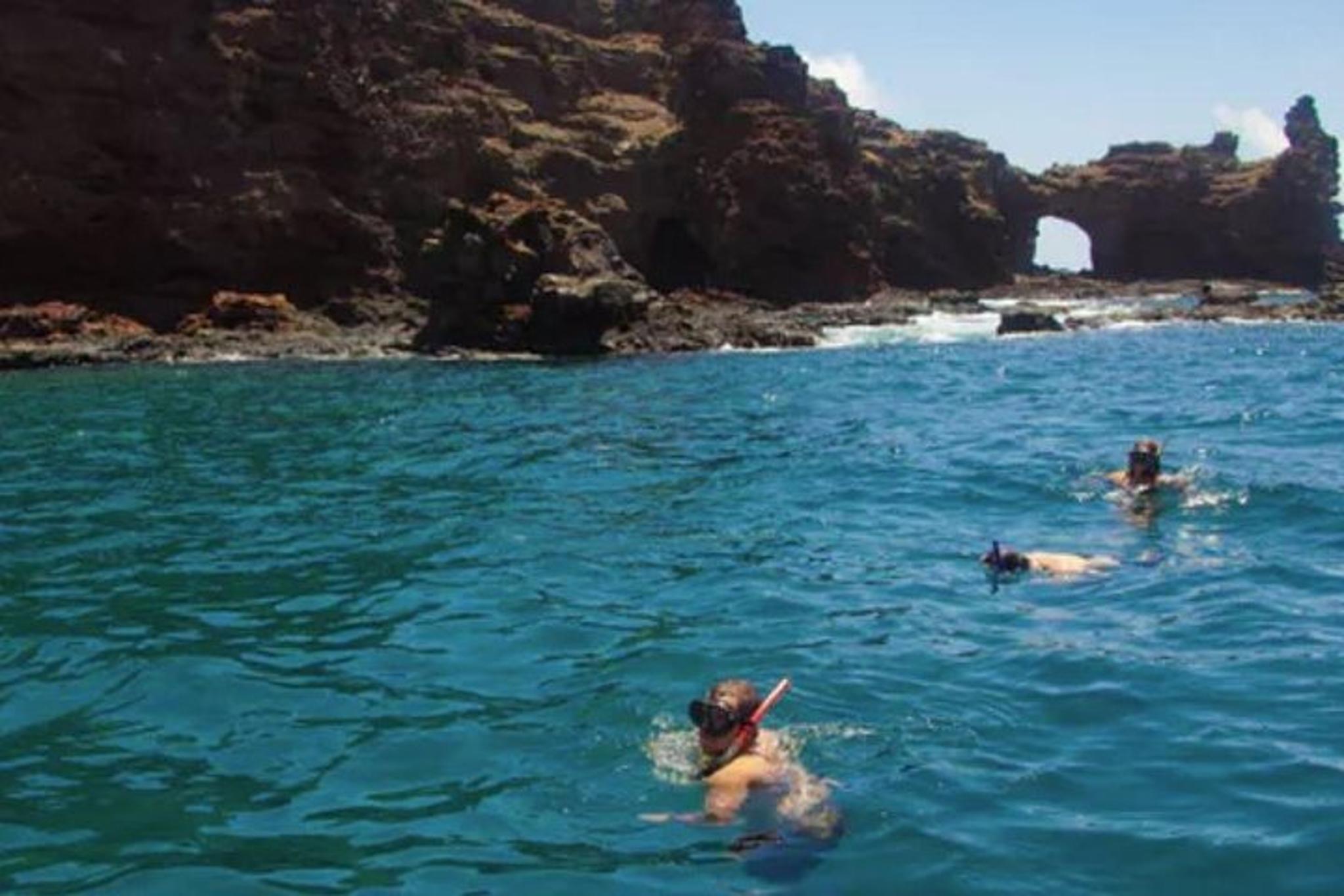Maalaea Snorkel and Dolphin Watch - Image 6