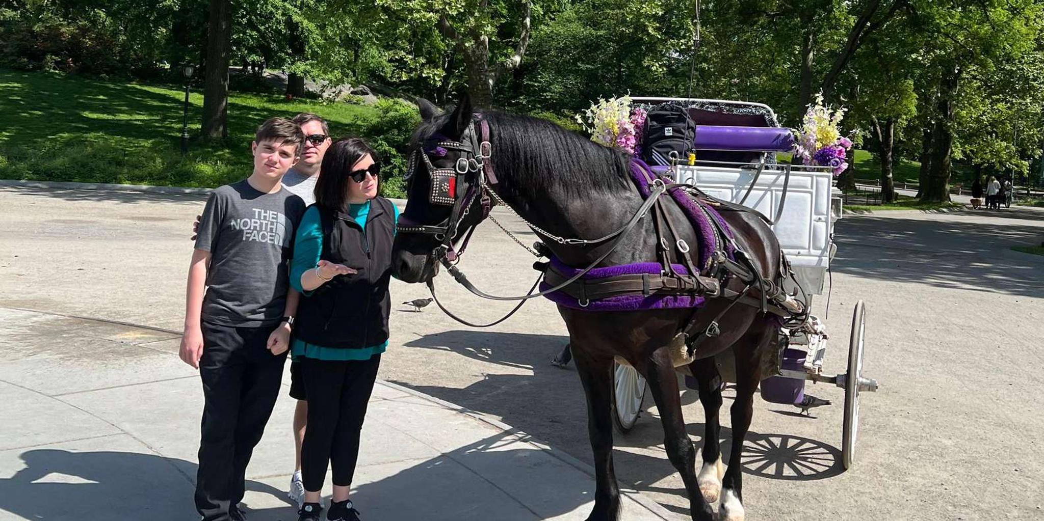 New York City Central Park Horse Carriage Tour