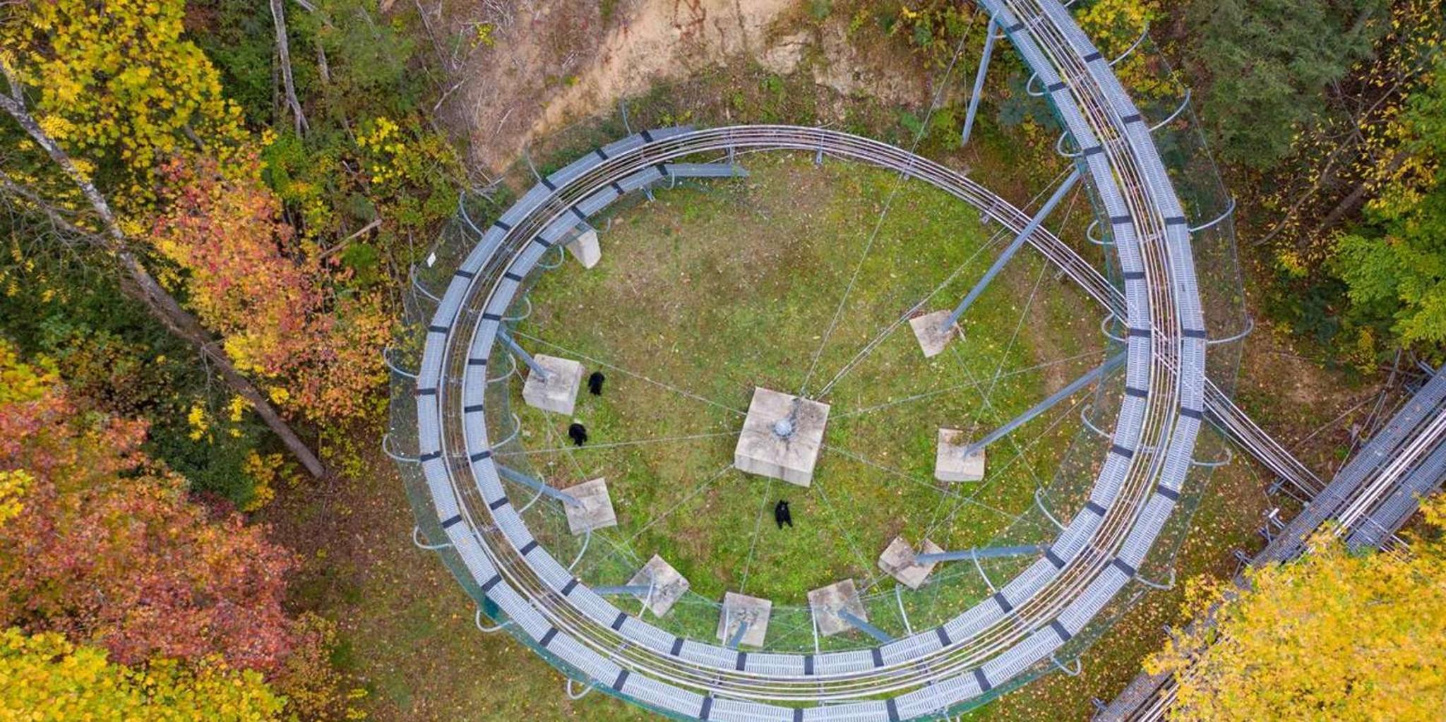 Gatlinburg Moonshine Mountain Coaster - Image 5