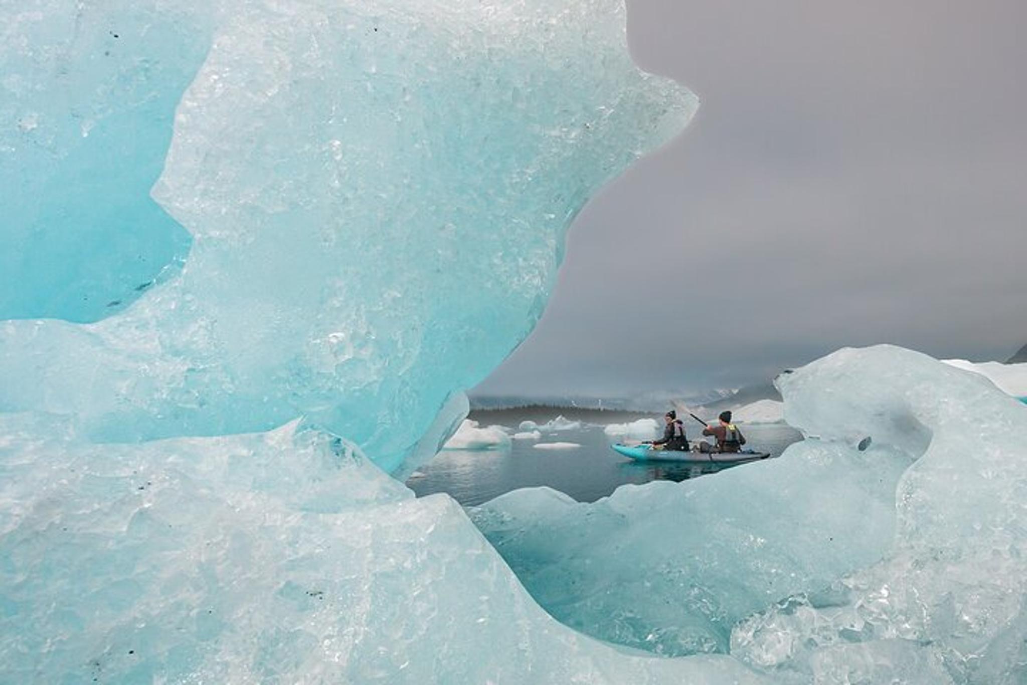 Seward Glacier Flight and Kayak Adventure - Image 3
