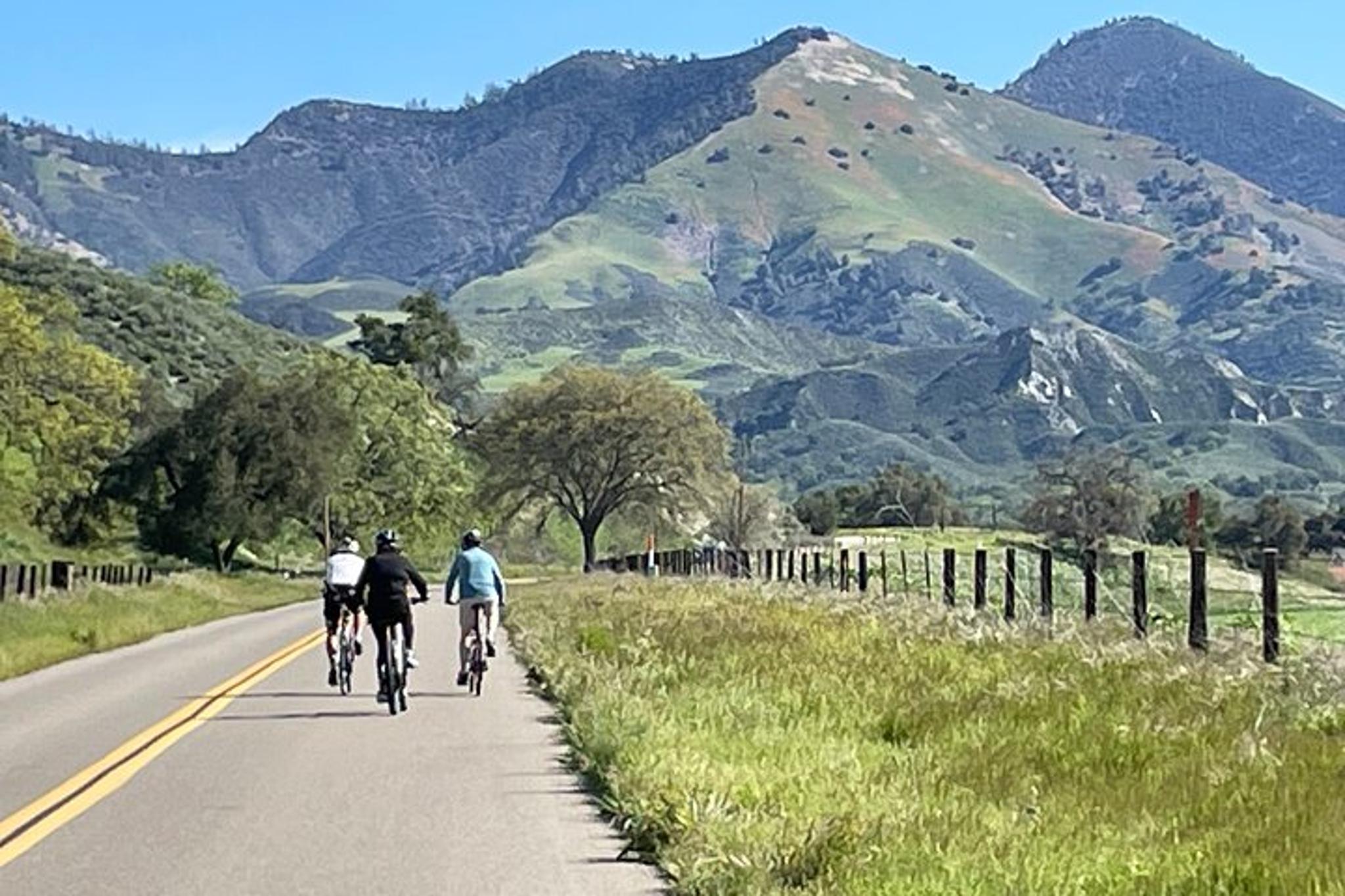 Santa Ynez Wine Country Bike Tour with Lunch - Image 3