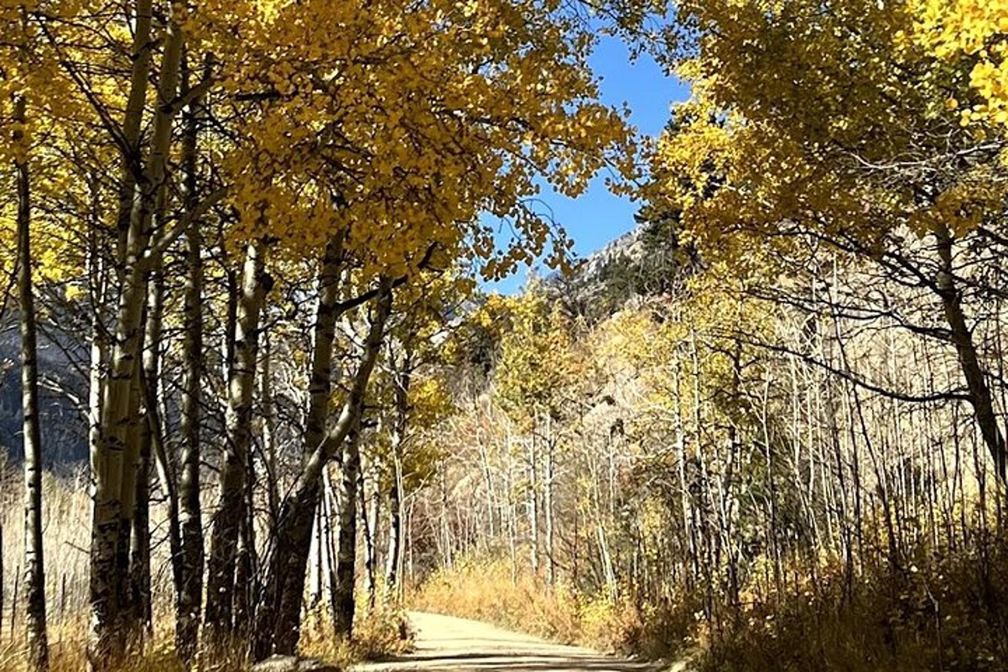 Denver Guided Hike Rocky Mountain National Park - Image 3