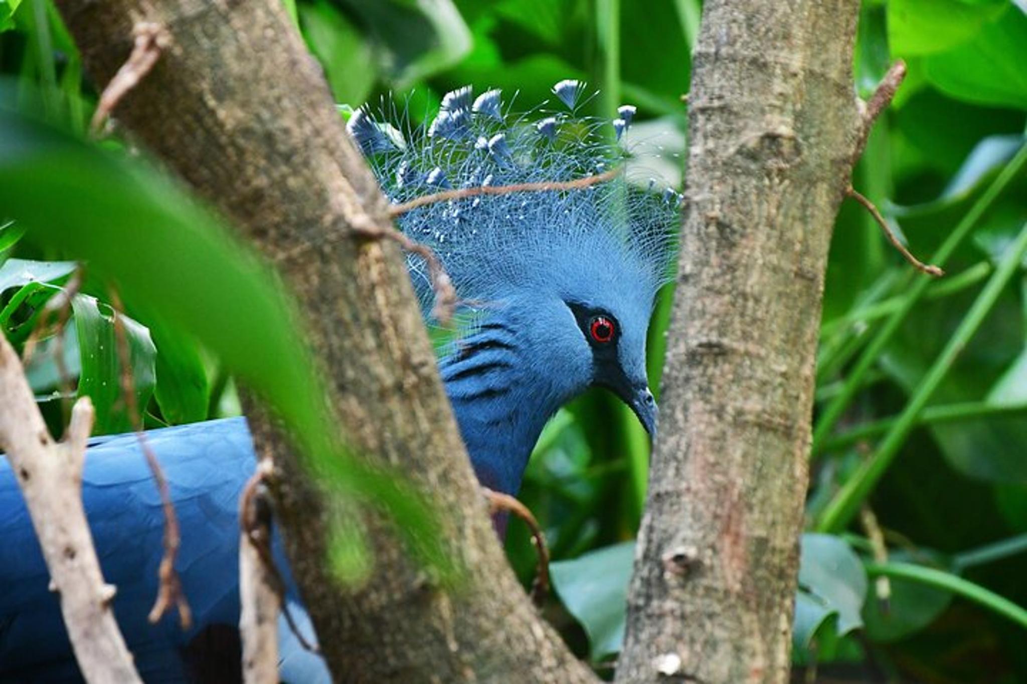 New York City Private Walking Tour - Image 4