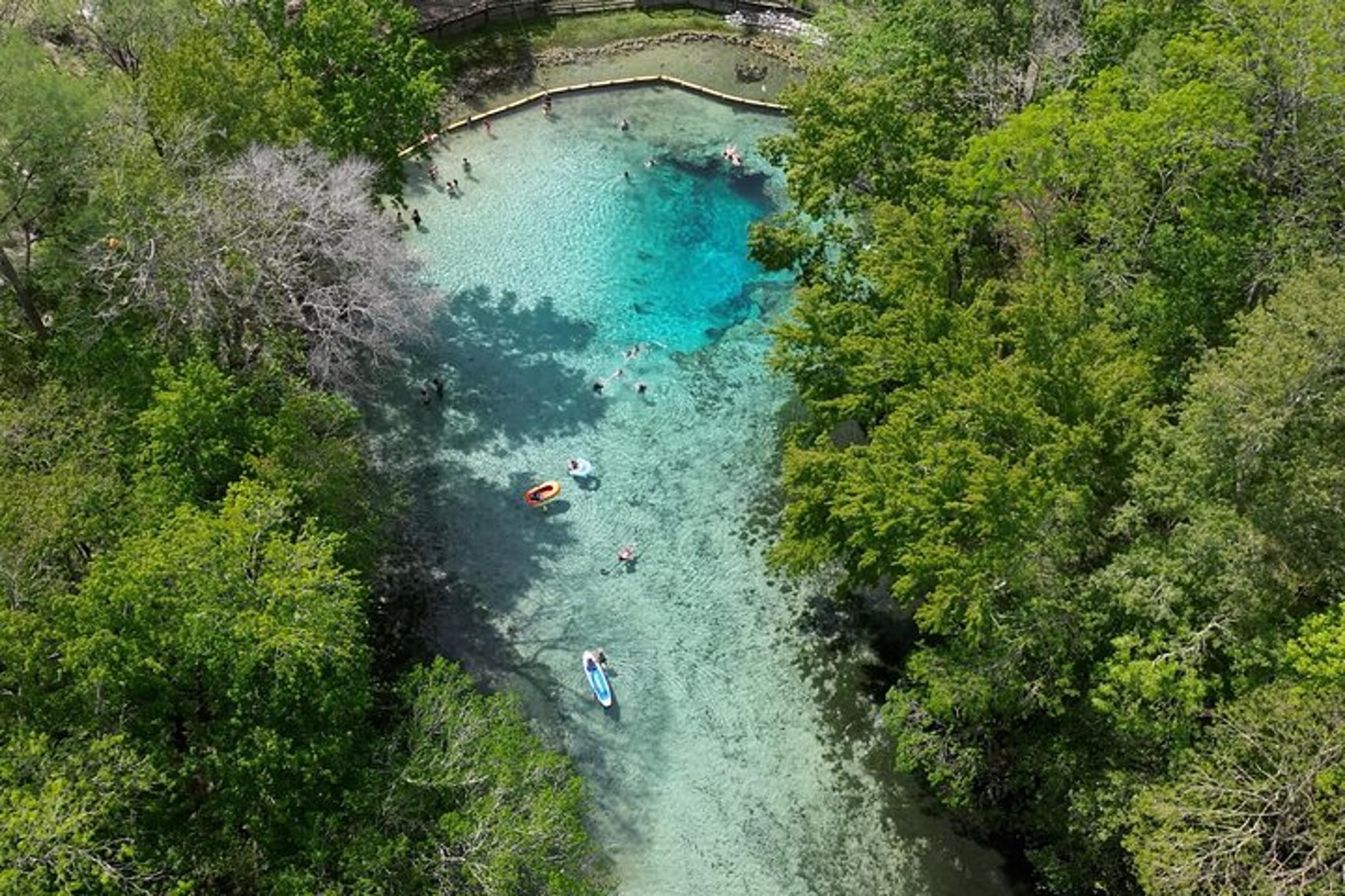 Gilchrist Blue Glass Bottom Kayak Eco Tour 2 hr - Image 6