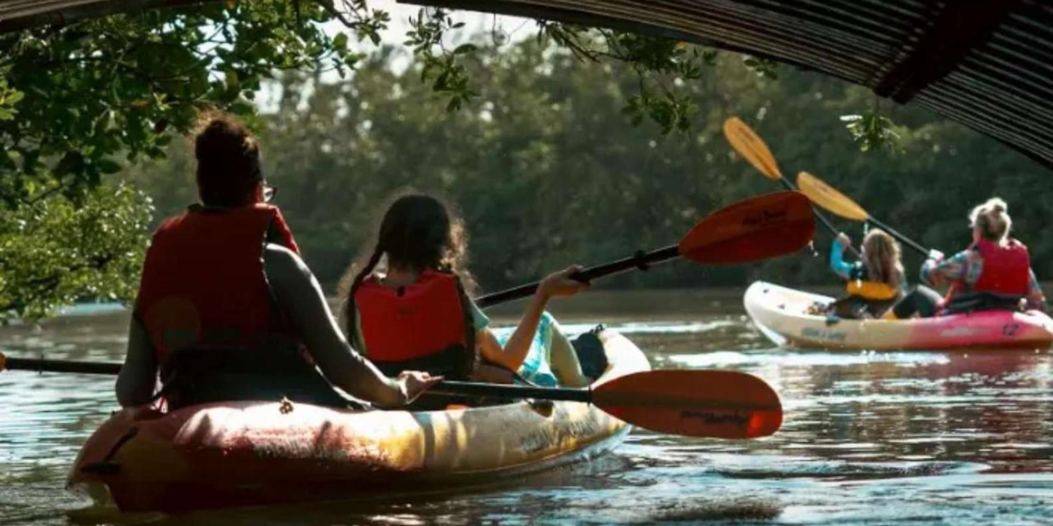North Miami Beach Eco Kayak or Paddleboard Tour - Image 2