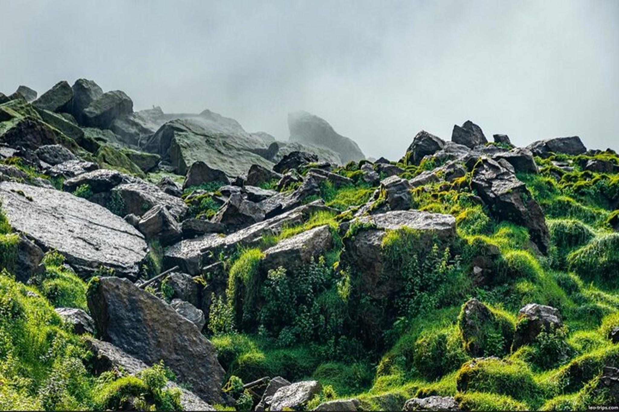 Niagara Falls State Park Sunset Tour - Image 6