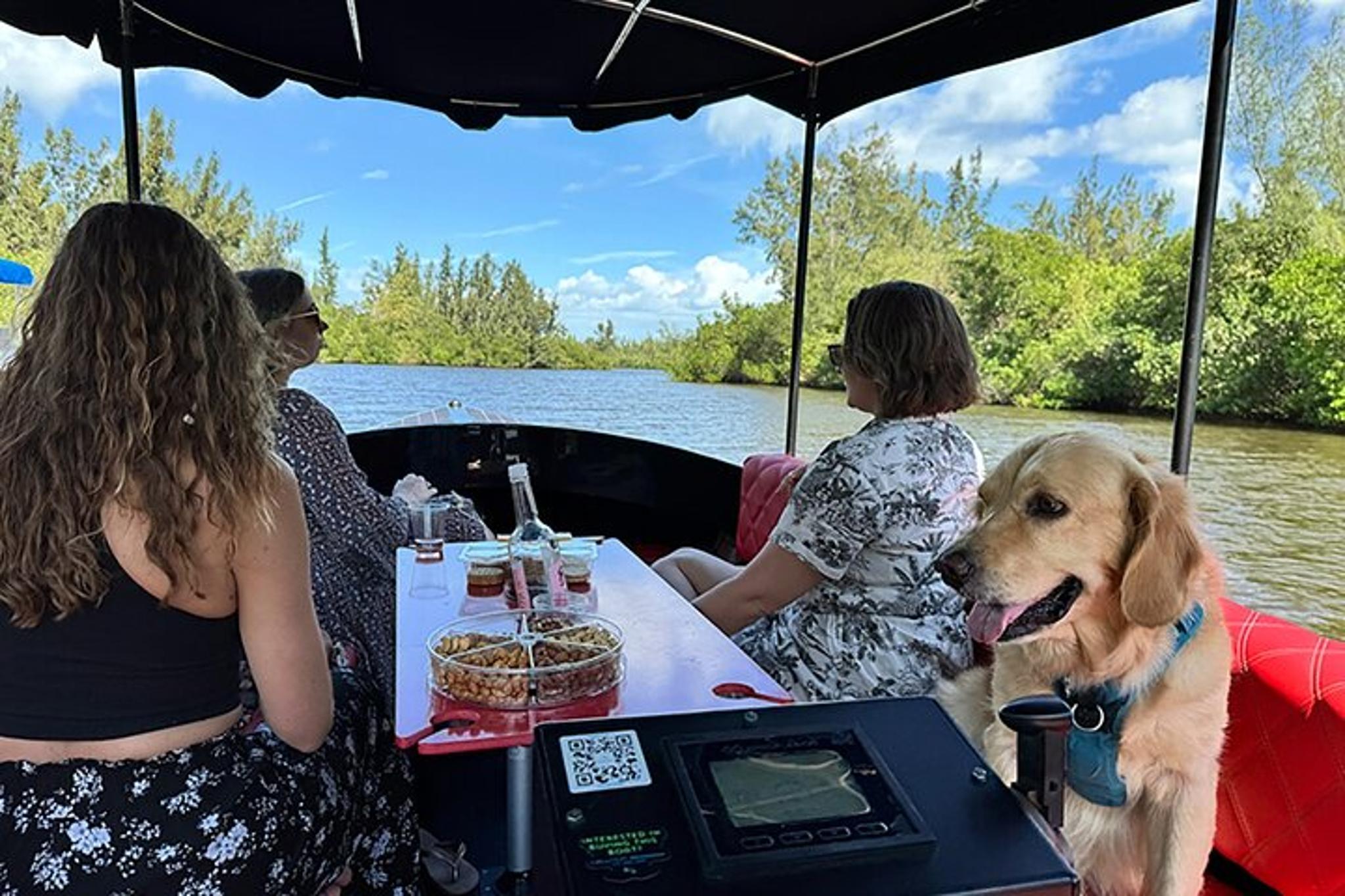 Vero Beach Dolphin Boat Tour - Image 2