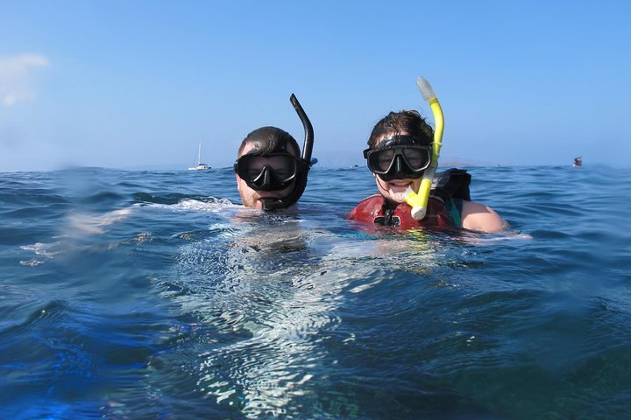 Makena Whale Watching and Snorkel - Image 4