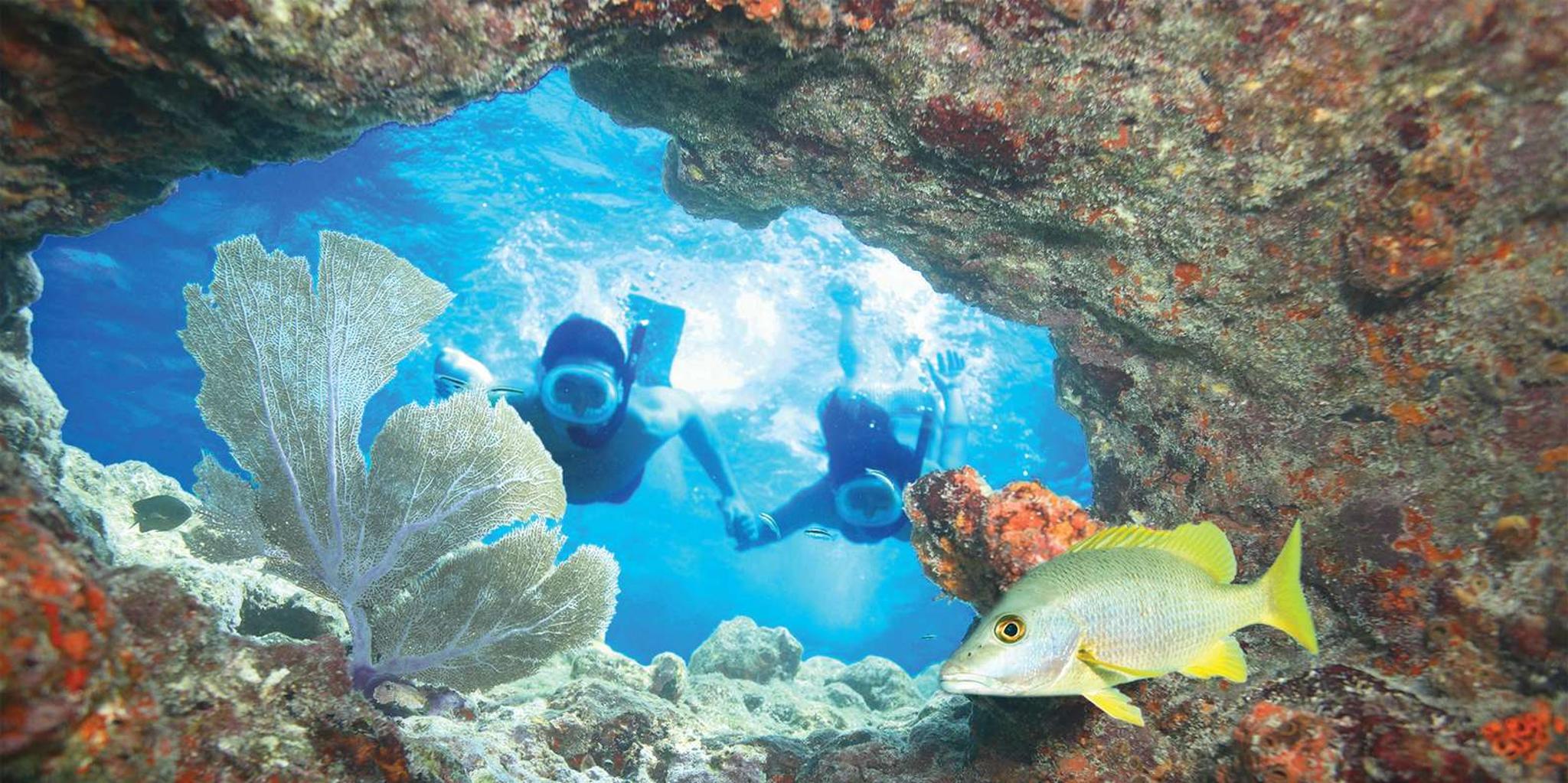 Key West Double-Dip Snorkel Tour