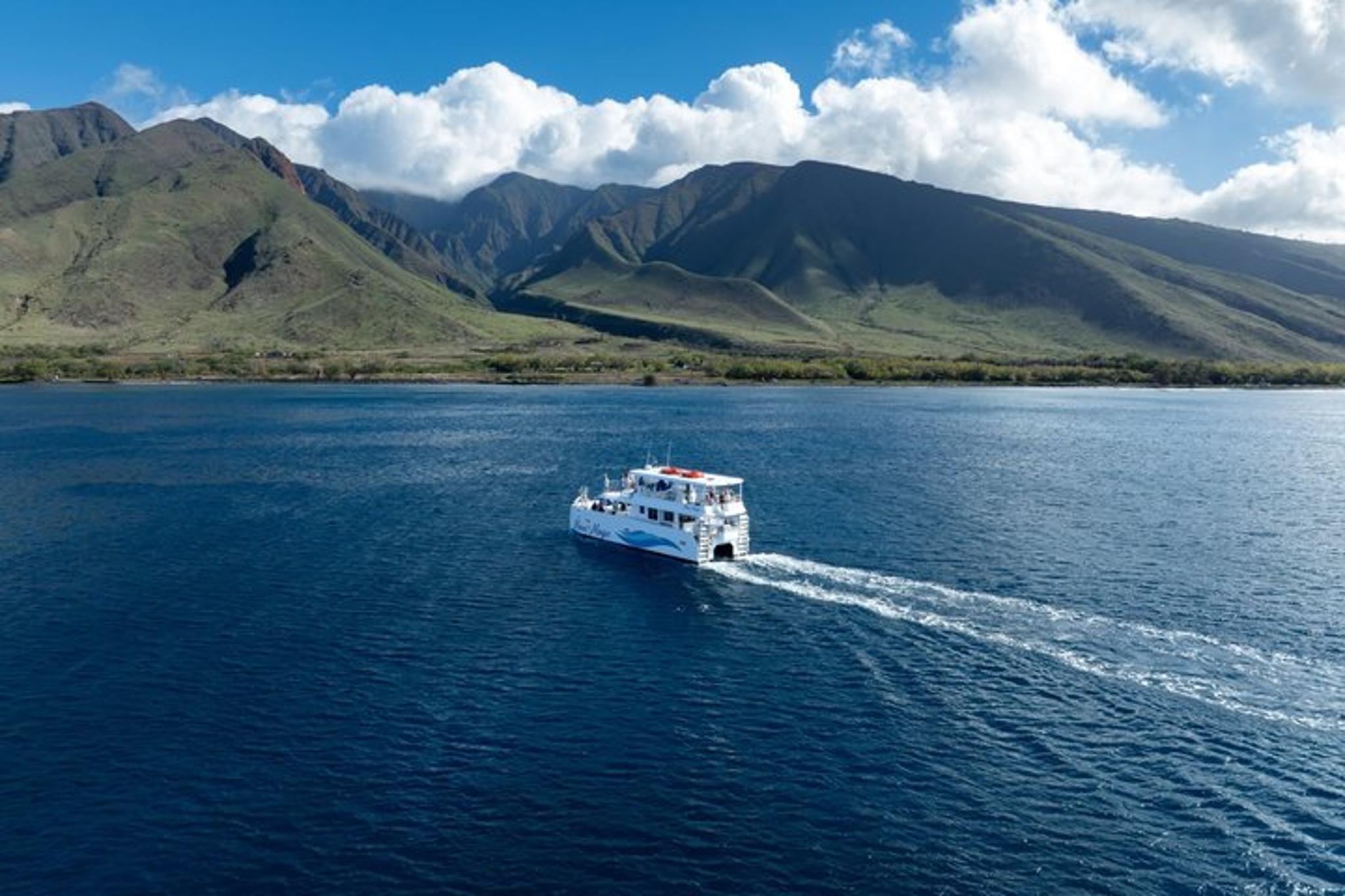 Maui Snorkel Adventure: Molokini Crater and Turtle Stop