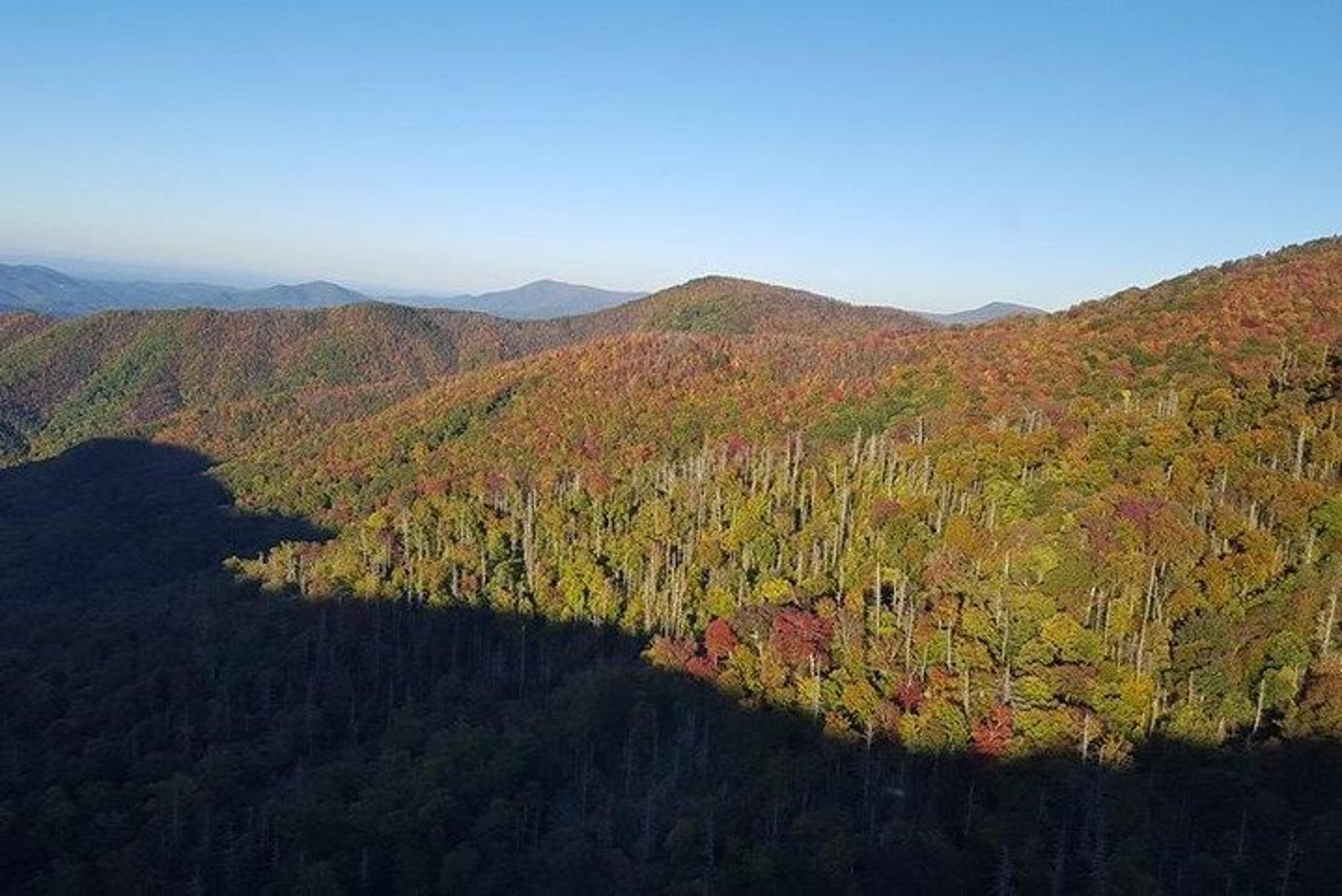 Sevierville Helicopter Tour Over Smoky Mountain Valley 12 min - Image 6