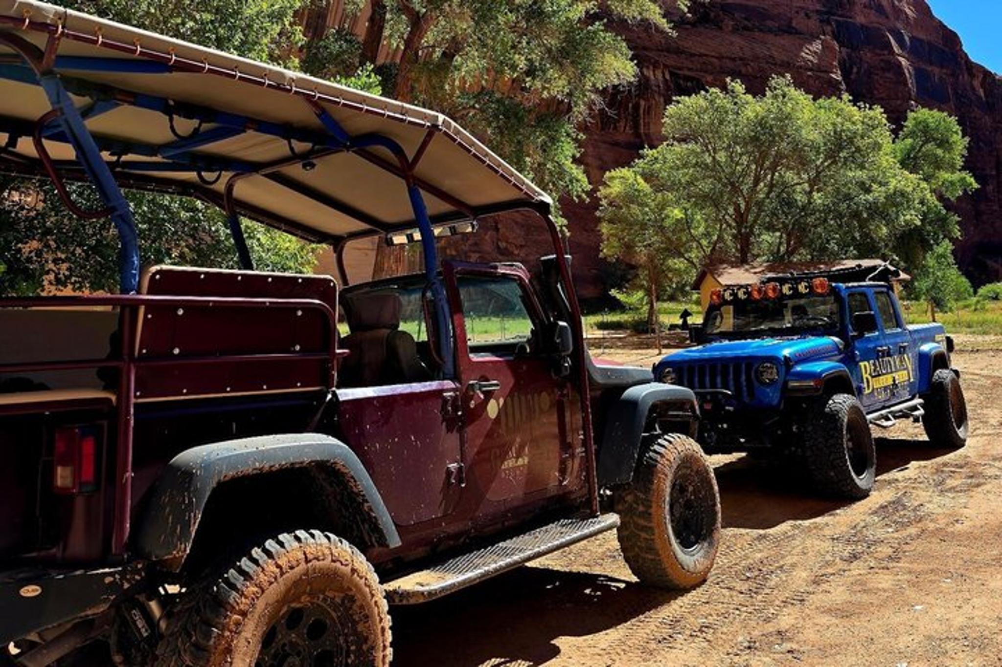 Canyon De Chelly Private Tour 3 hr - Image 3