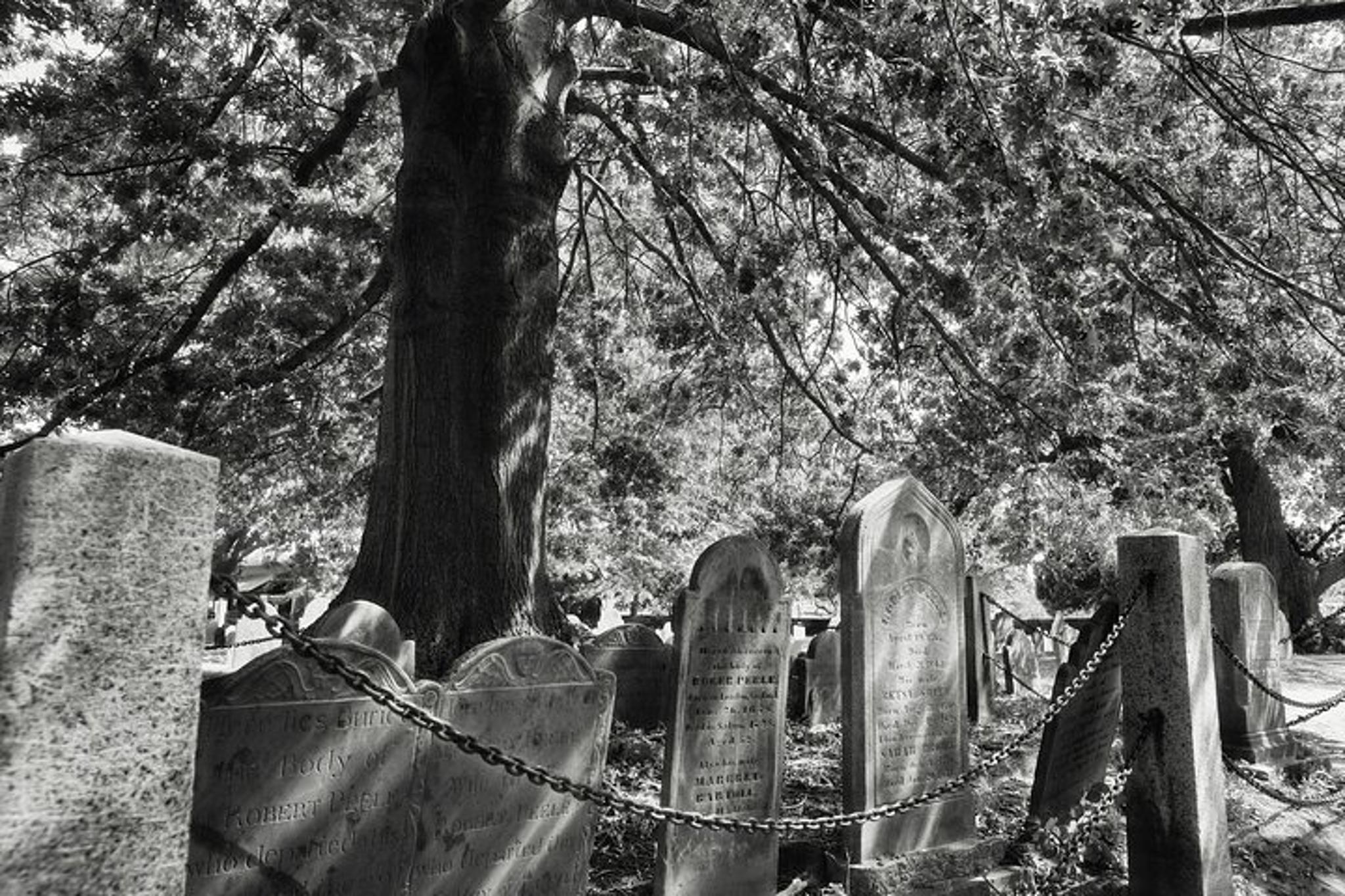 Salem Ghosts Walking Tour - Image 5
