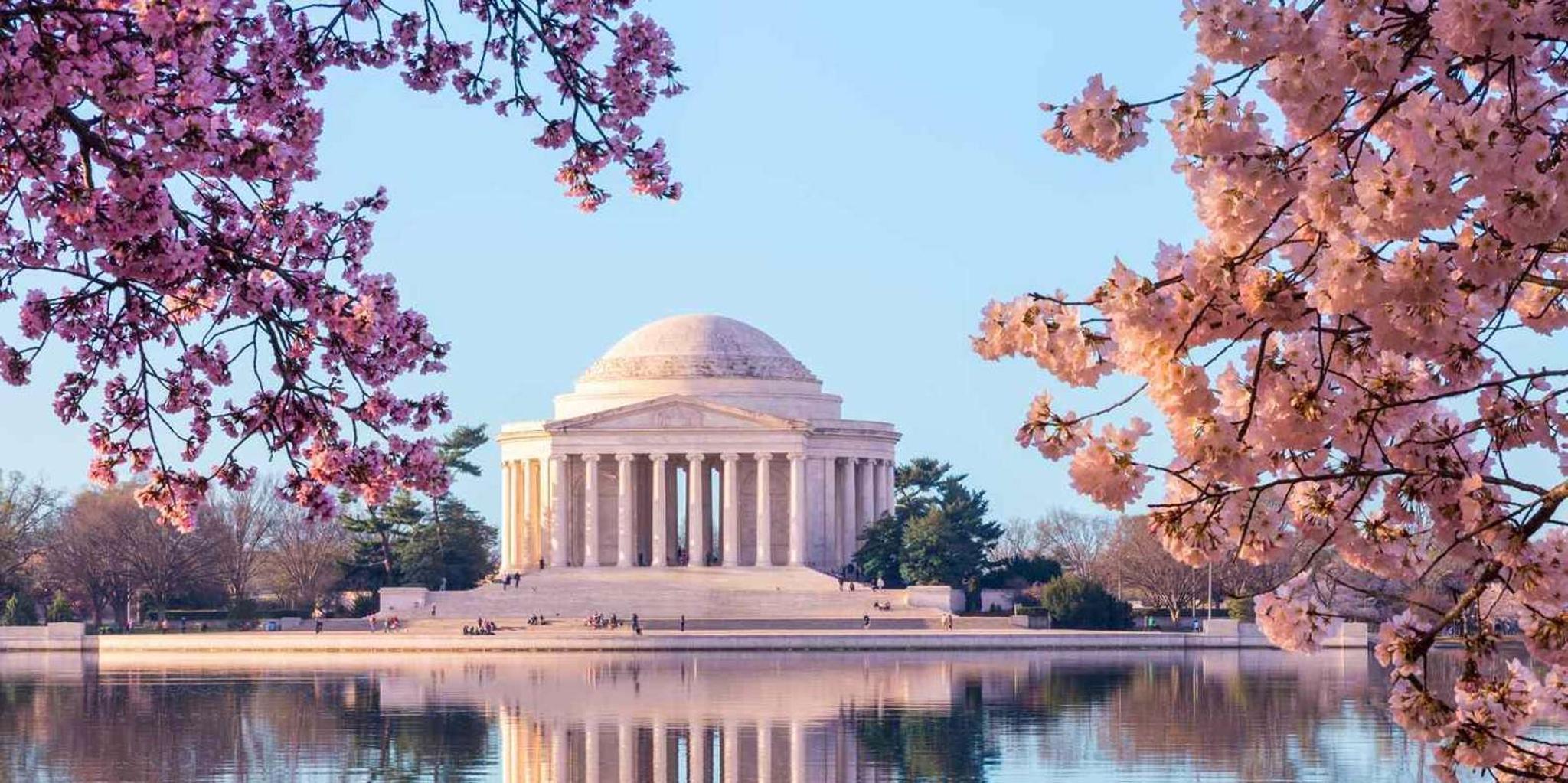 Washington D.C. Airport Private Transfer - Image 5