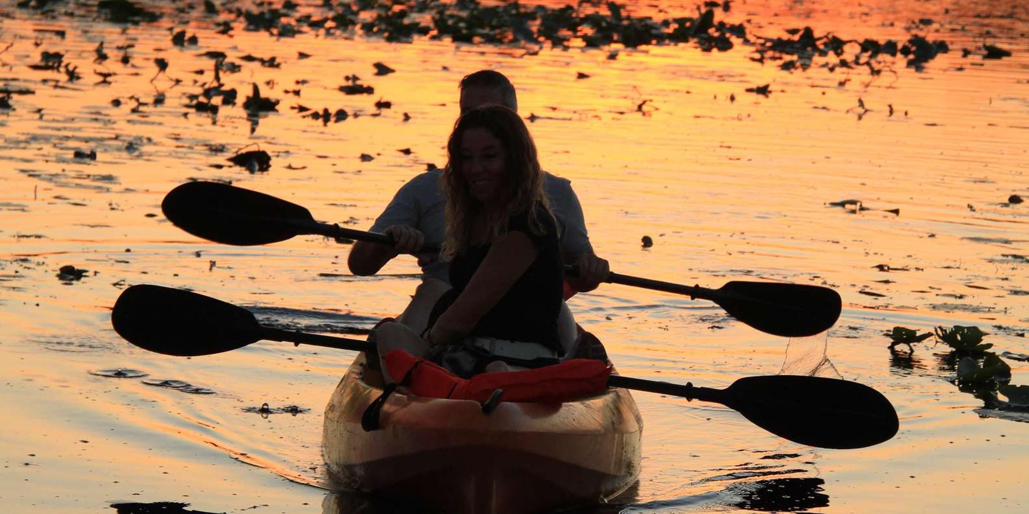 Orlando Sunset Guided Kayak Tour - Image 6