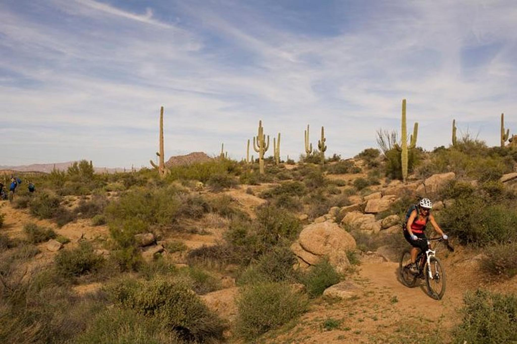 Scottsdale Mountain Bike Tour in Sonoran Desert - Image 4