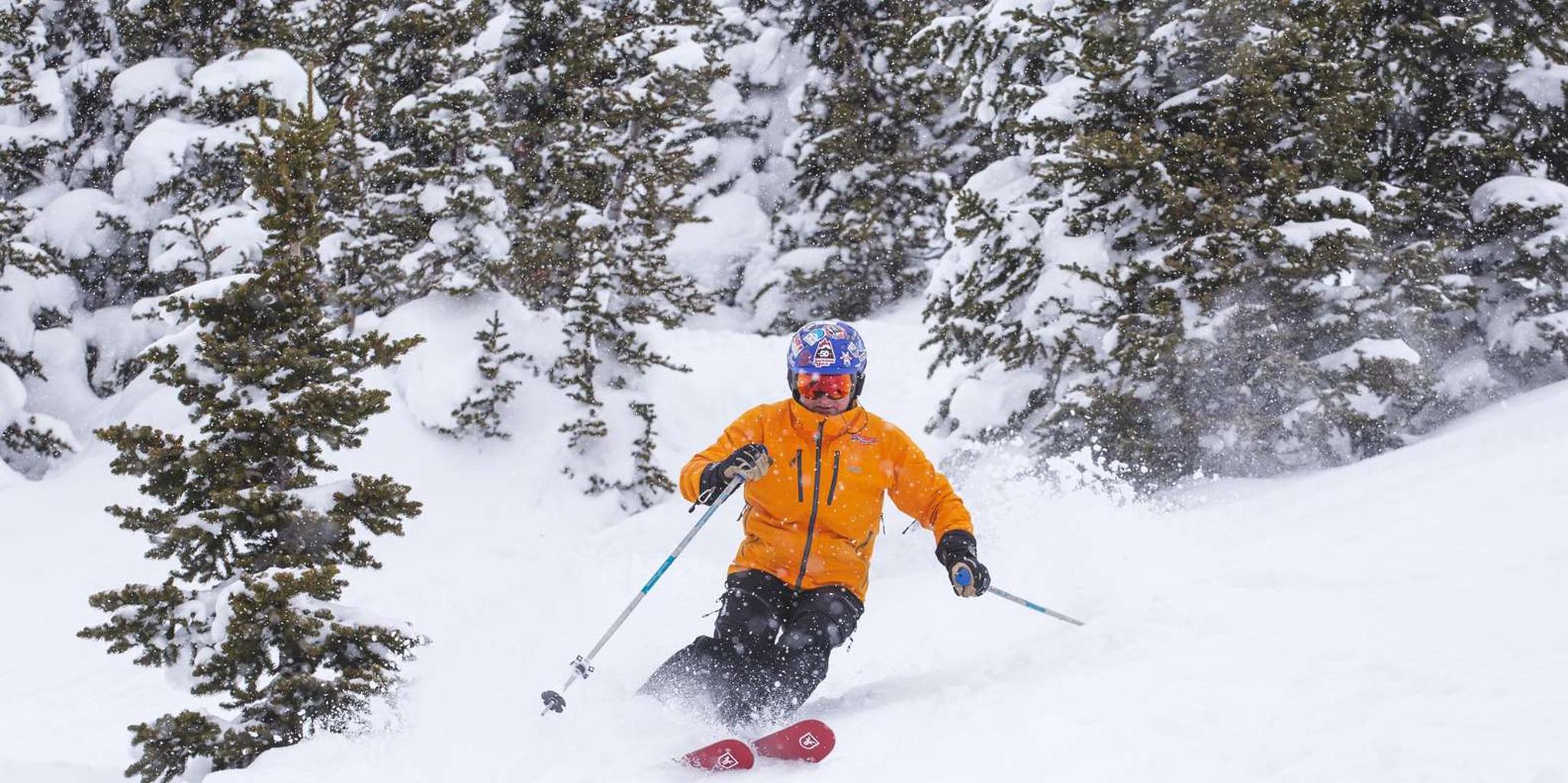 Jackson Grand Targhee Ski Bus 10 hr