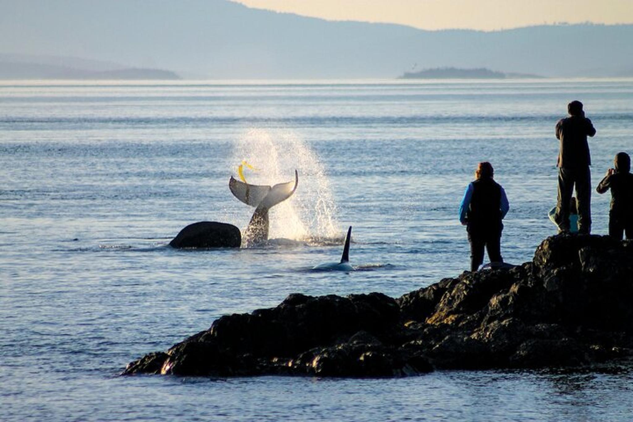 Santa Maria to Monterey Driving Tour - Image 4