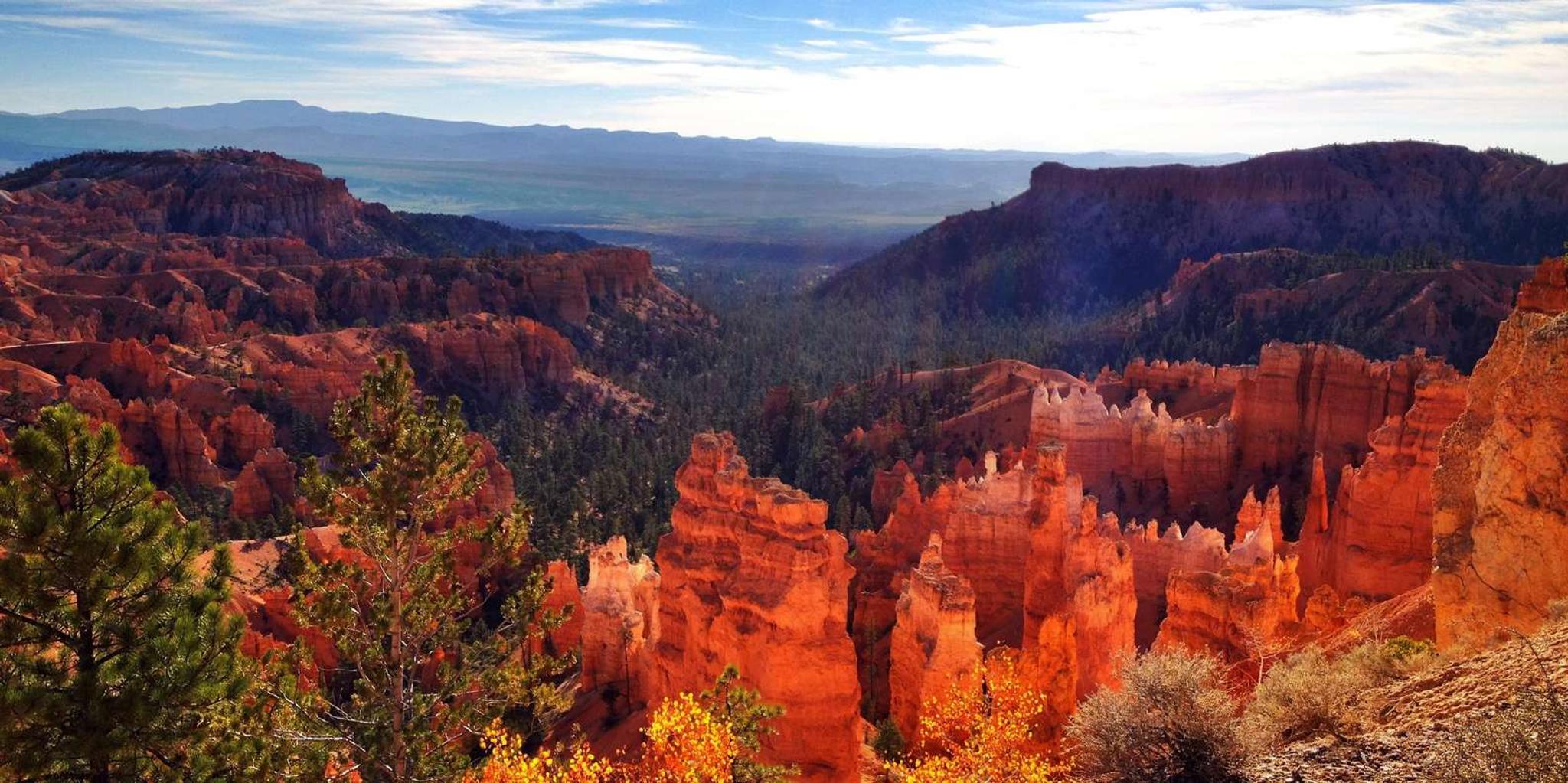 Las Vegas to San Francisco National Parks Tour - Image 2