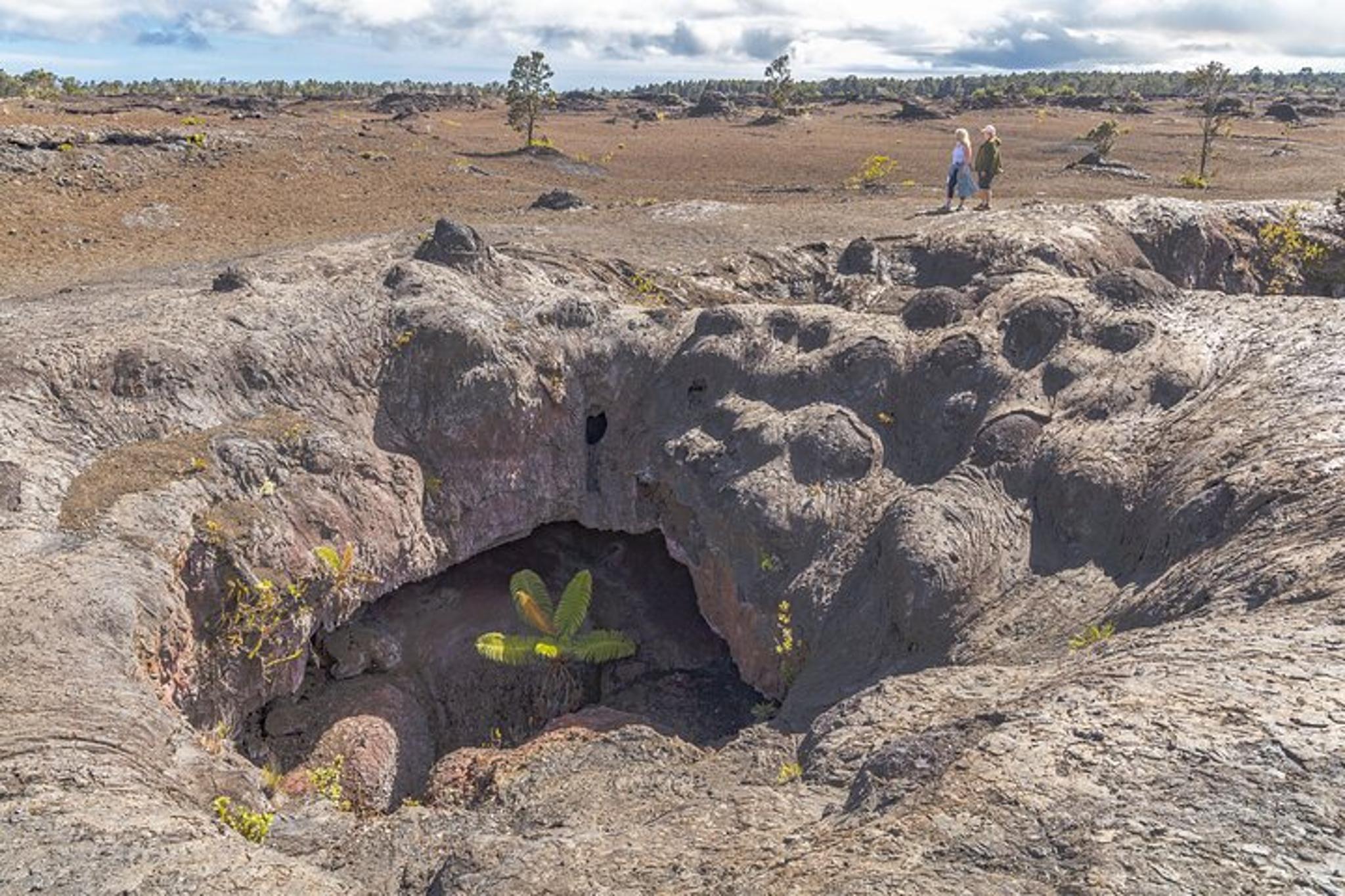 Hilo Kilauea Volcano Private Tour 6 hr - Image 2