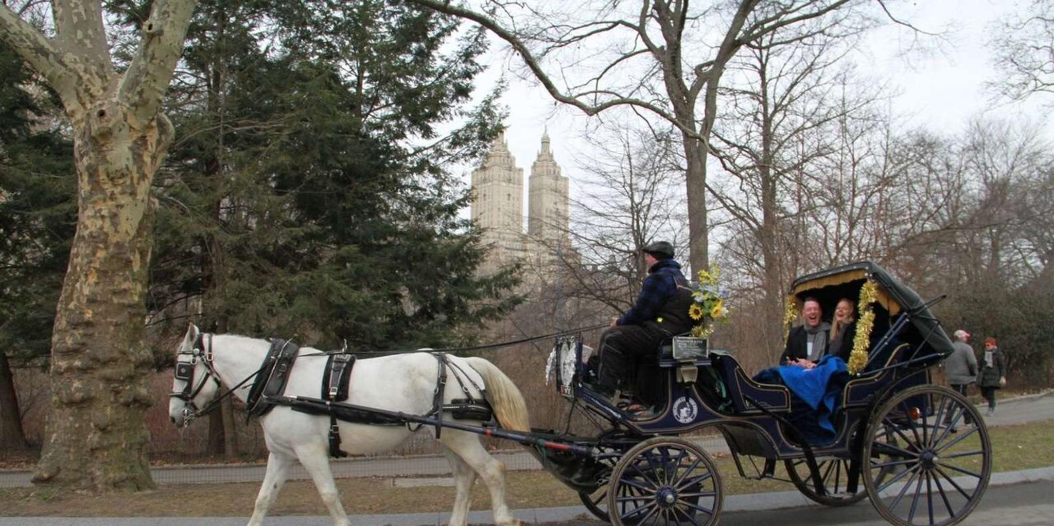 New York City Horse Carriage Ride in Central Park - Image 6