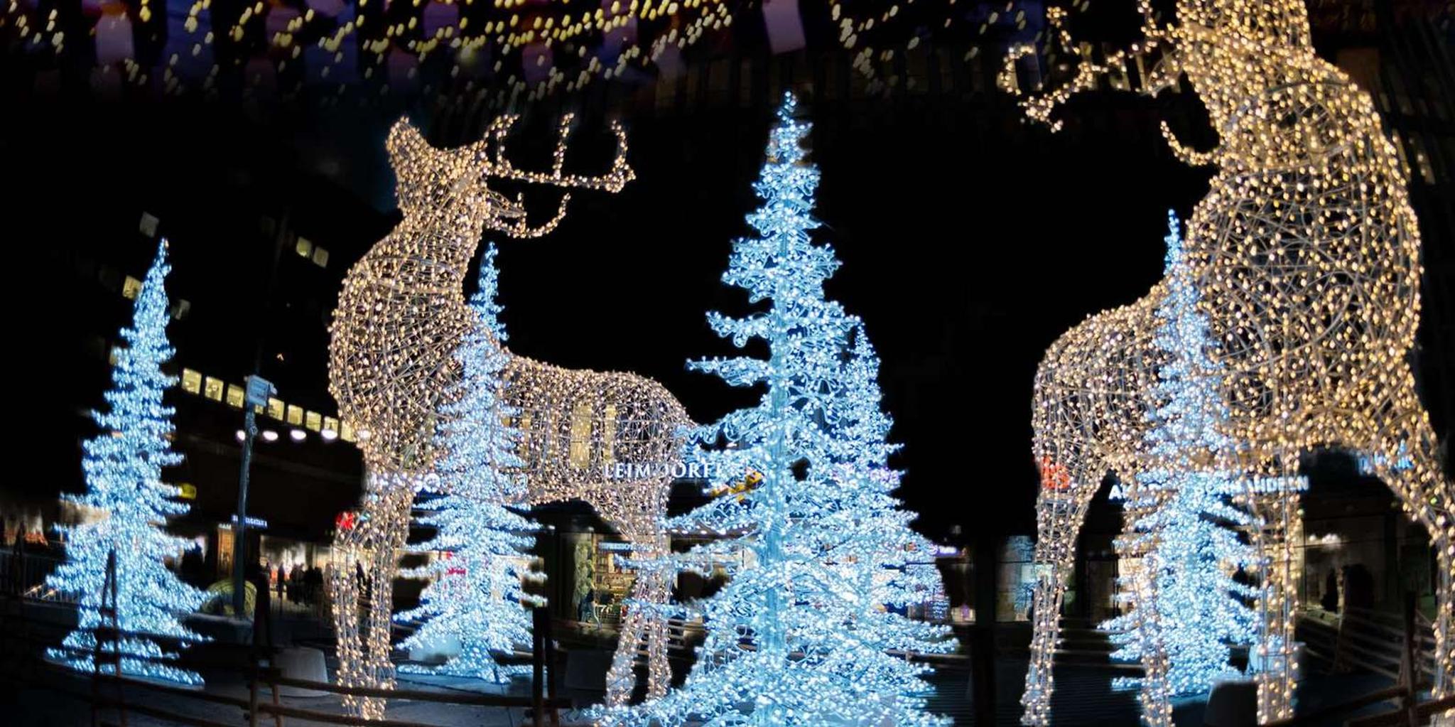 Denver Holiday Lights Cannabis Tour 2 hr - Image 6