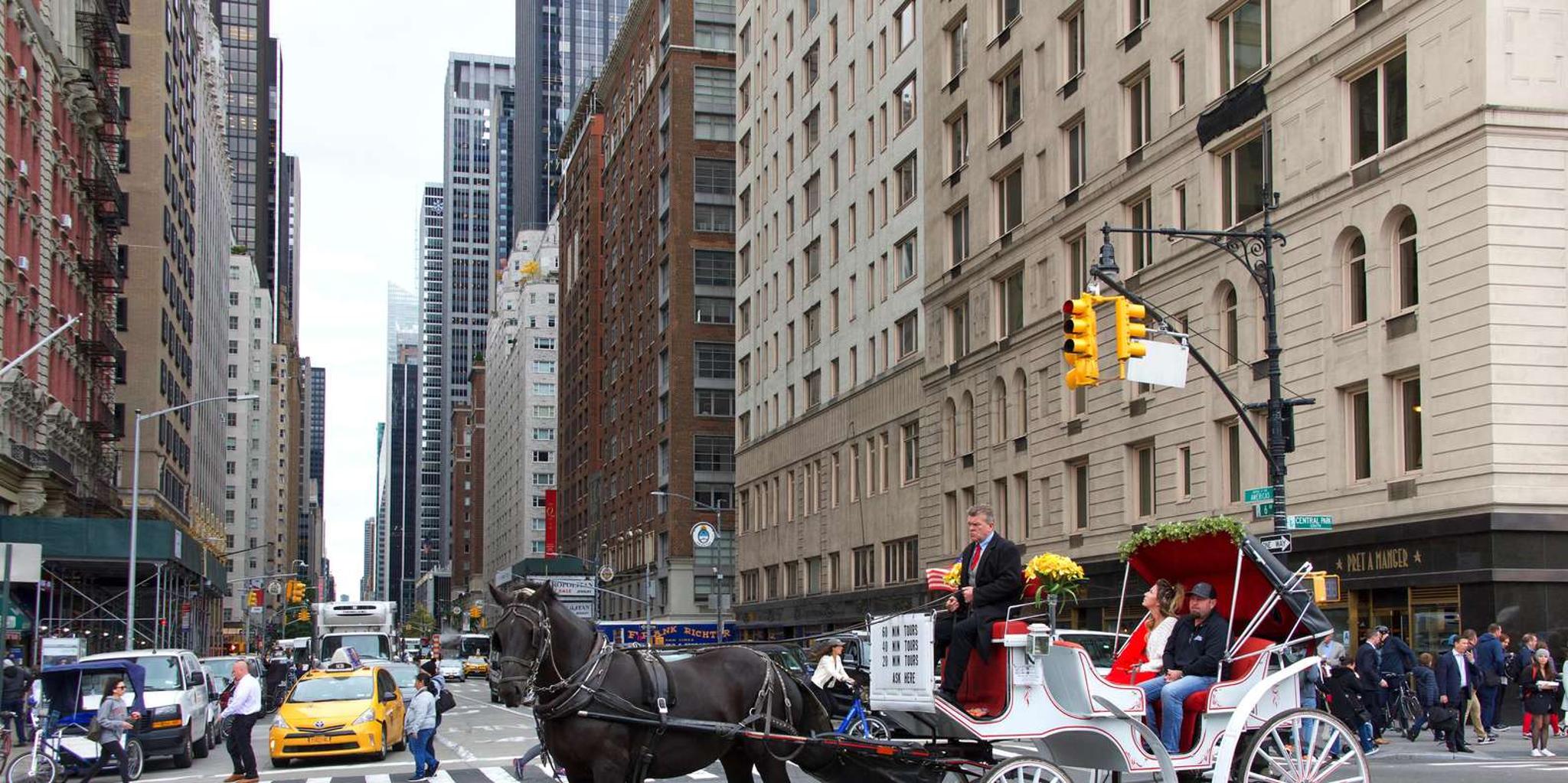 New York City Central Park Horse Carriage Ride - Image 5