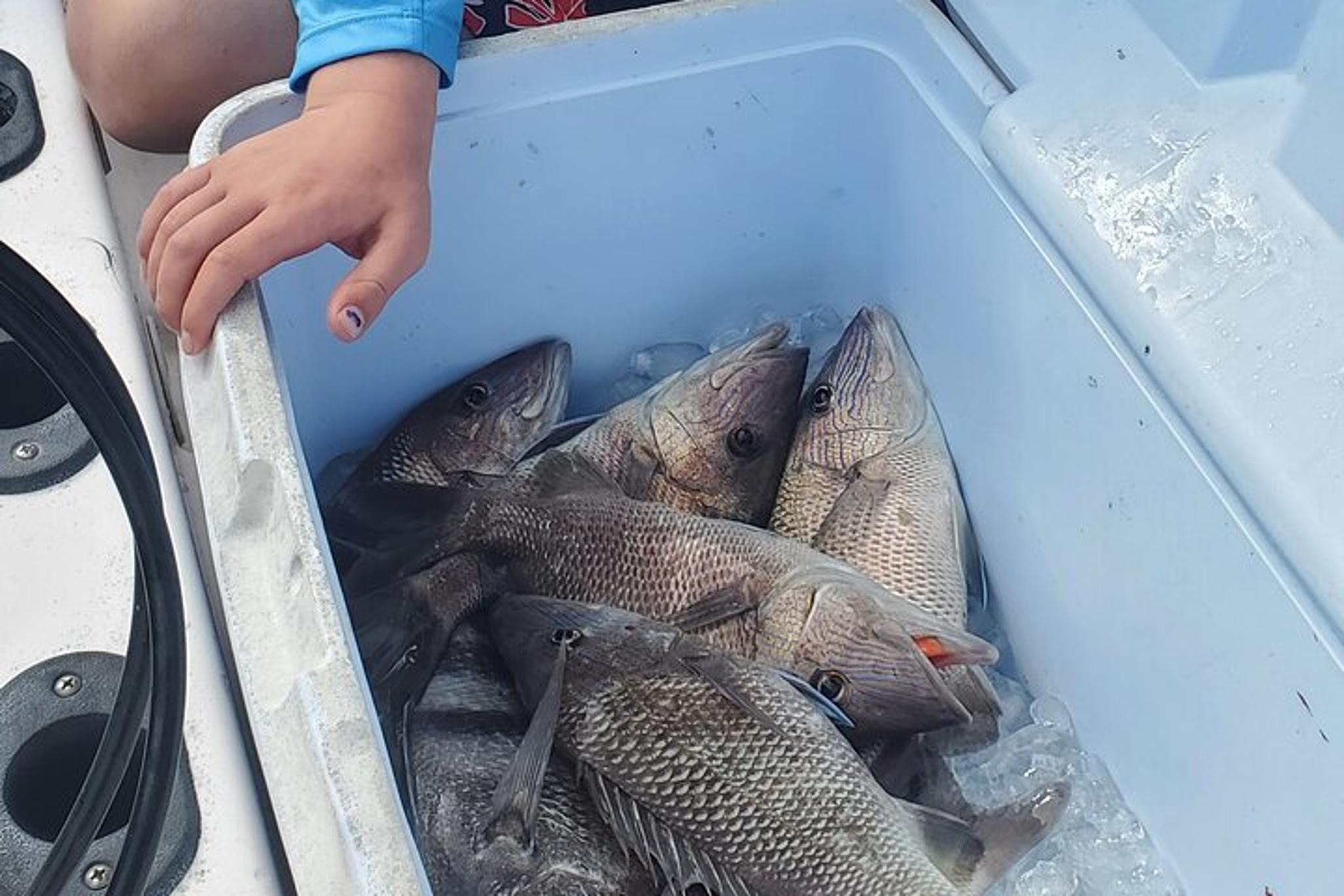 Englewood Offshore Fishing Charter - Image 2