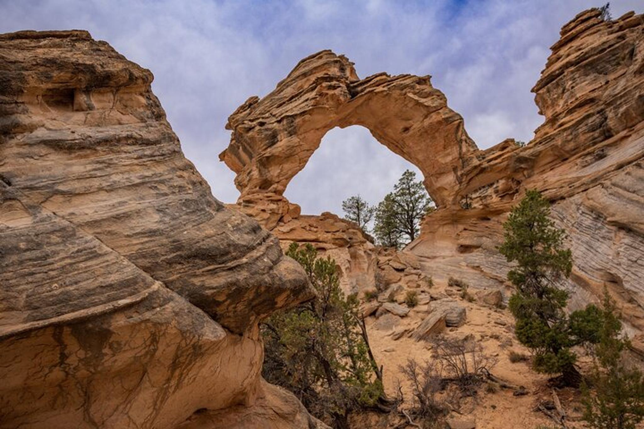 Kanab UTV Tour to Inchworm Arch 5 Hr - Image 6
