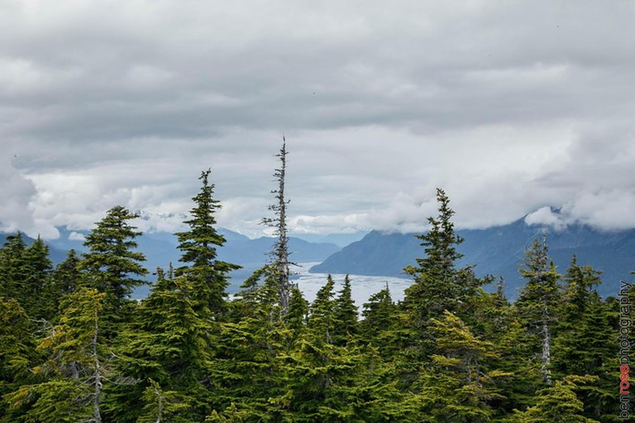 Haines Mount Riley Hike - Image 2